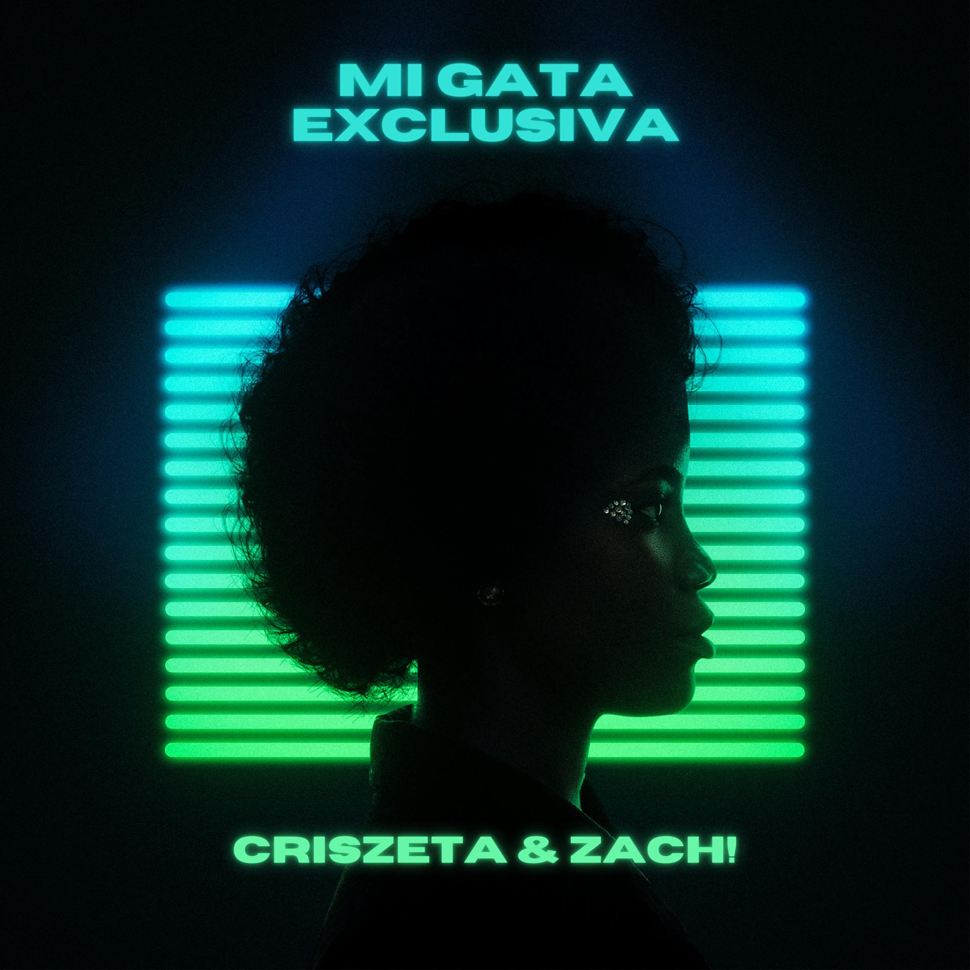 Постер альбома Mi Gata Exclusiva