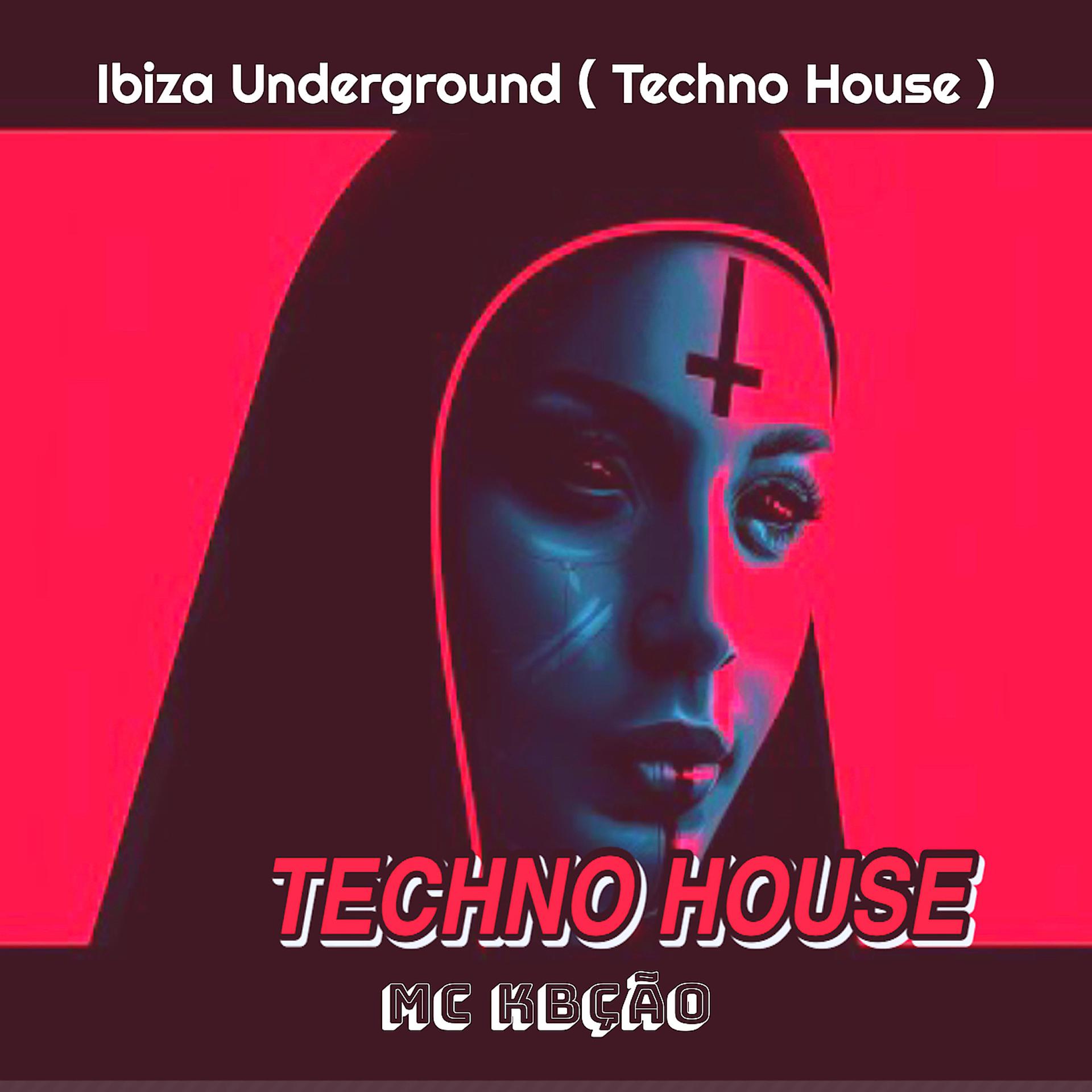 Постер альбома Ibiza Underground ( Techno House )