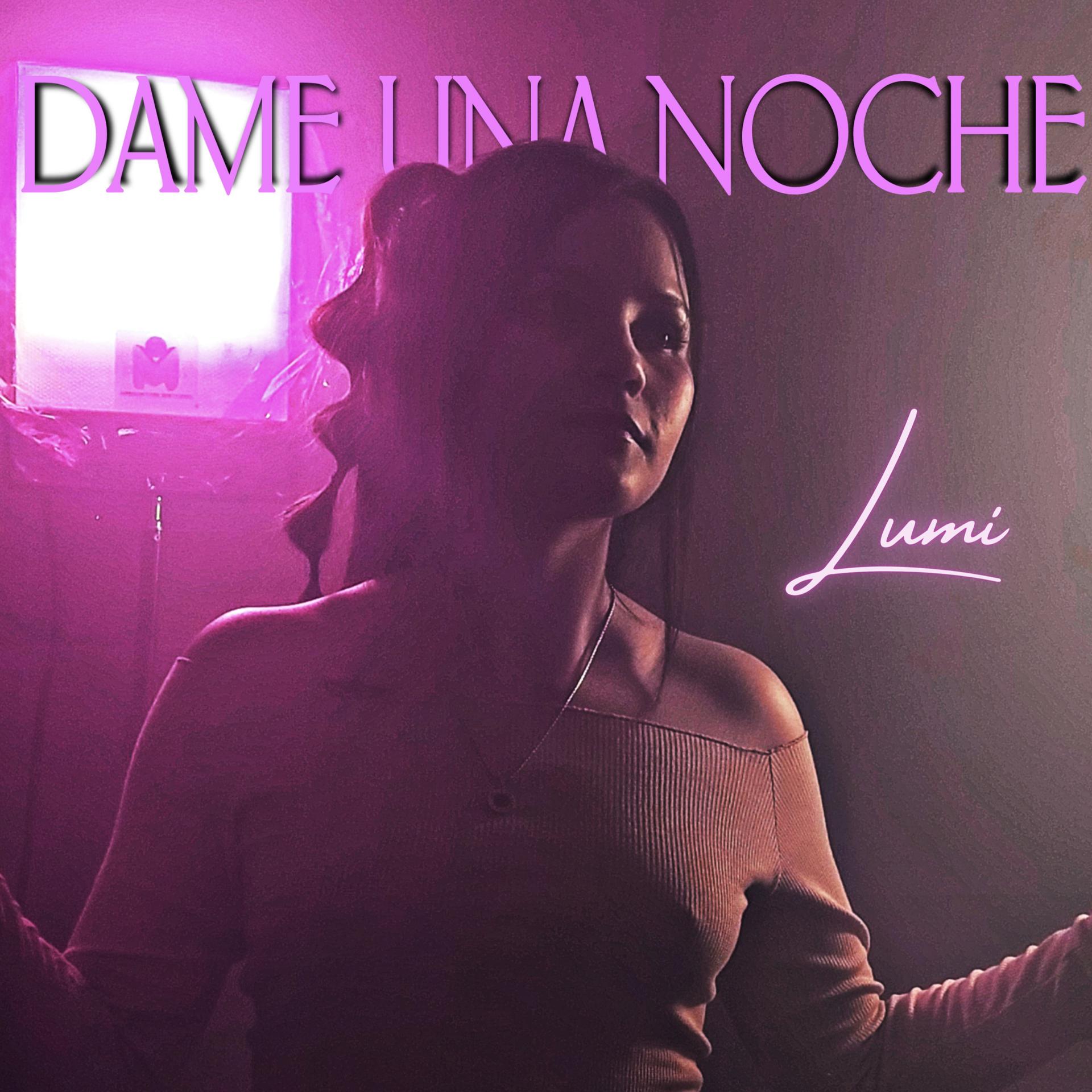 Постер альбома Dame una Noche