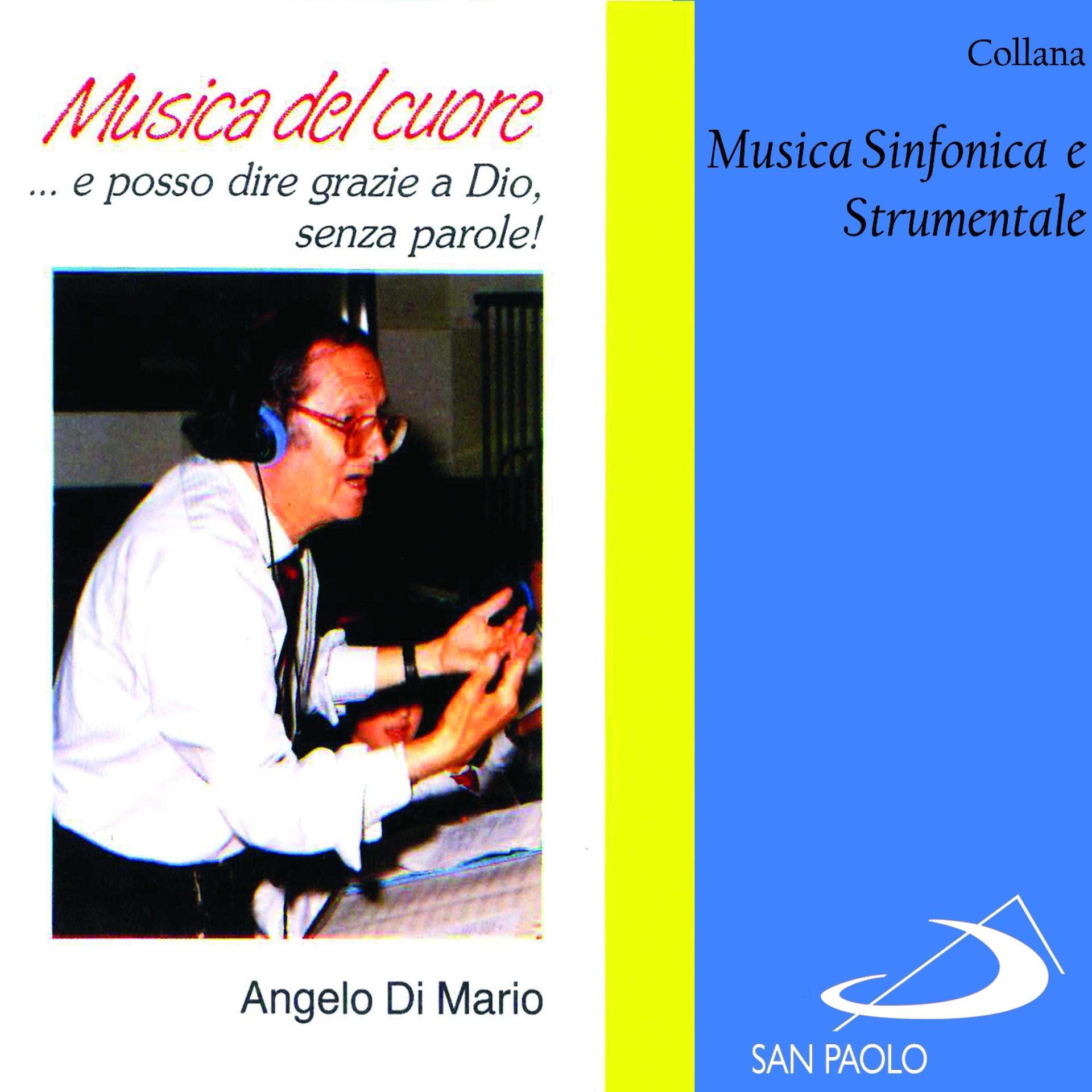 Постер альбома Collana musica sinfonica e strumentale: Musica nel cuore