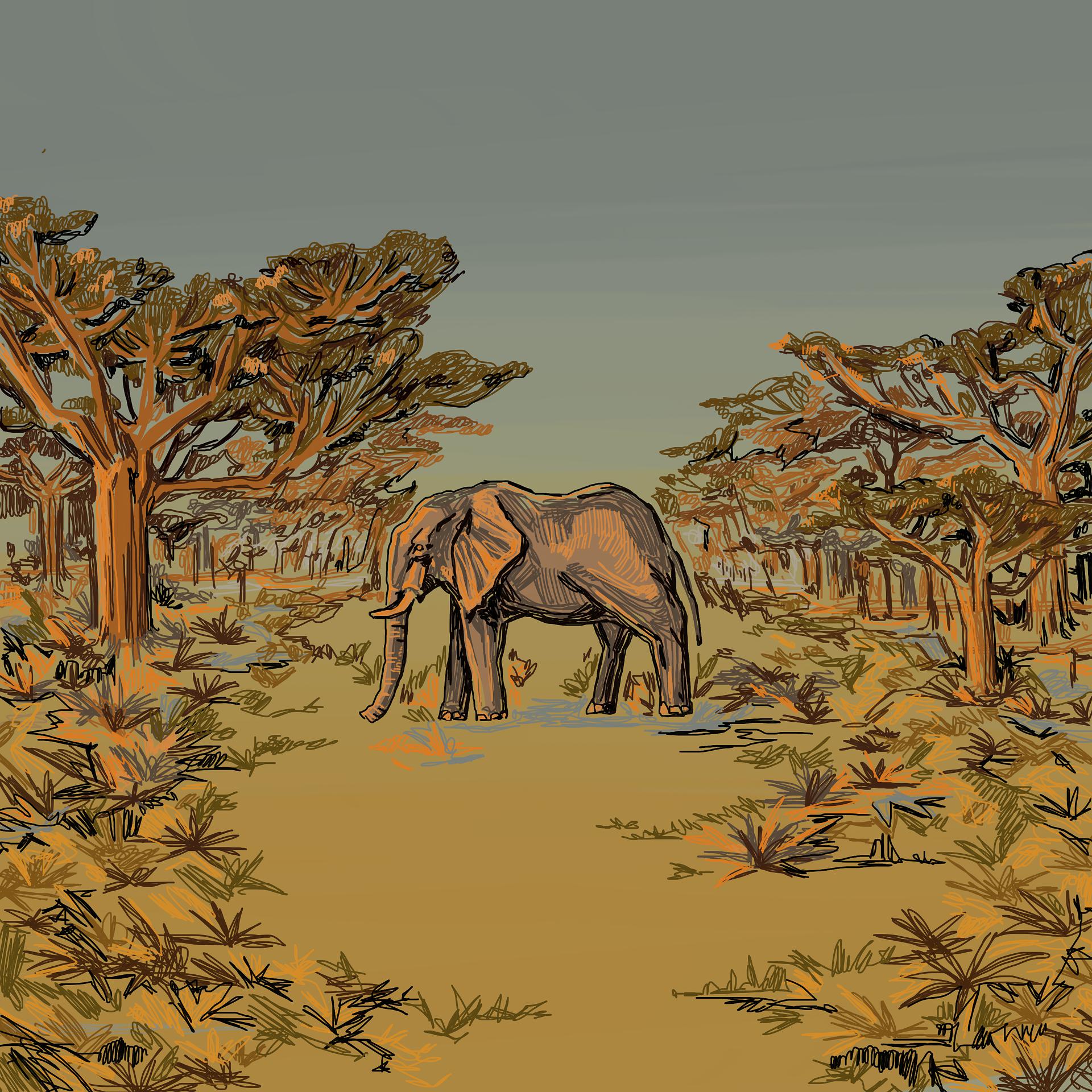 Постер альбома Слоновий лес 1.1.
