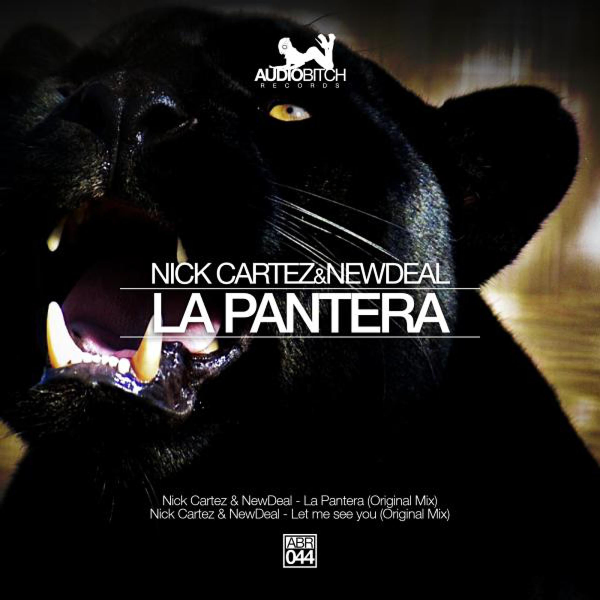 Постер альбома La Pantera