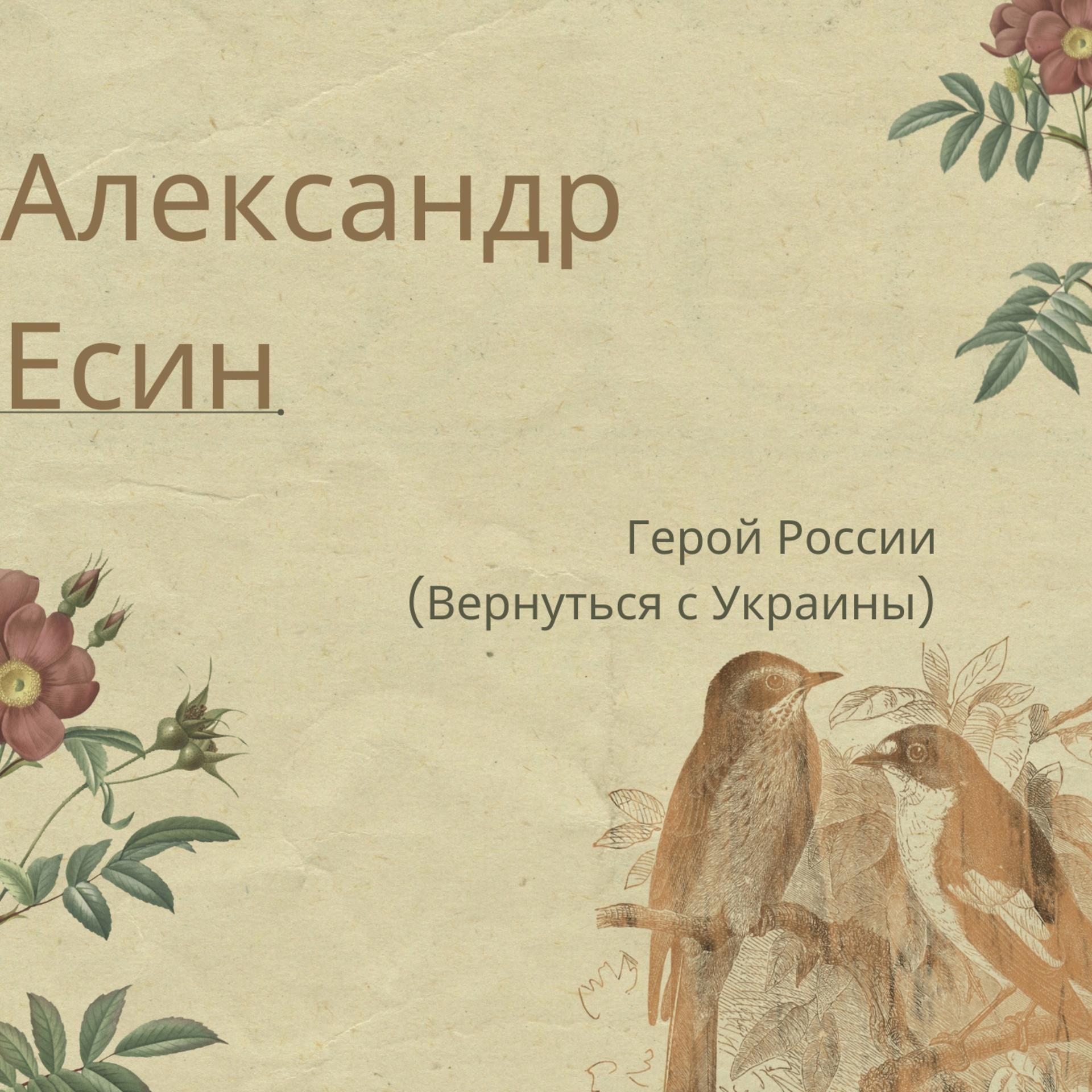 Постер альбома Герой России (Вернуться с Украины)