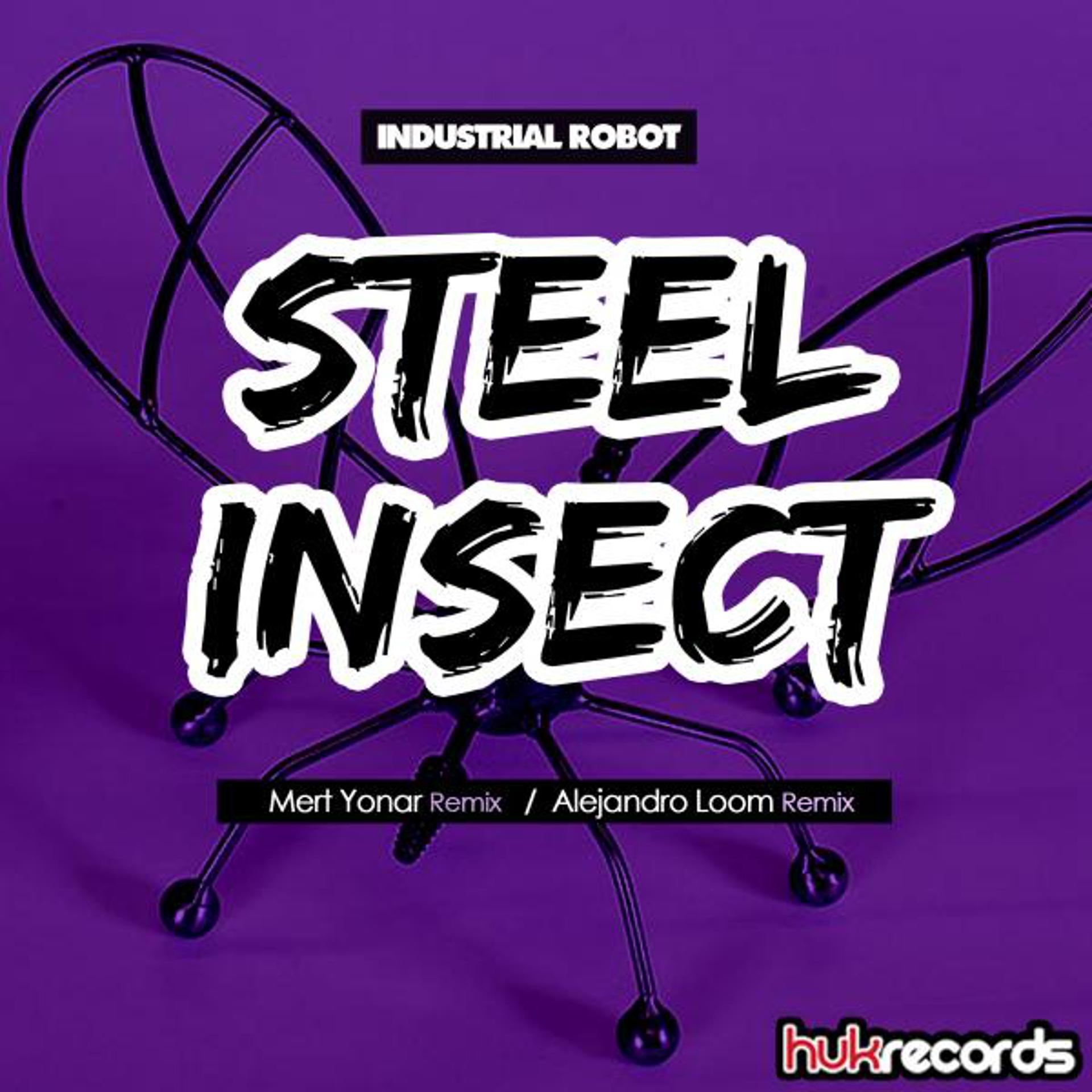 Постер альбома Steel Insect