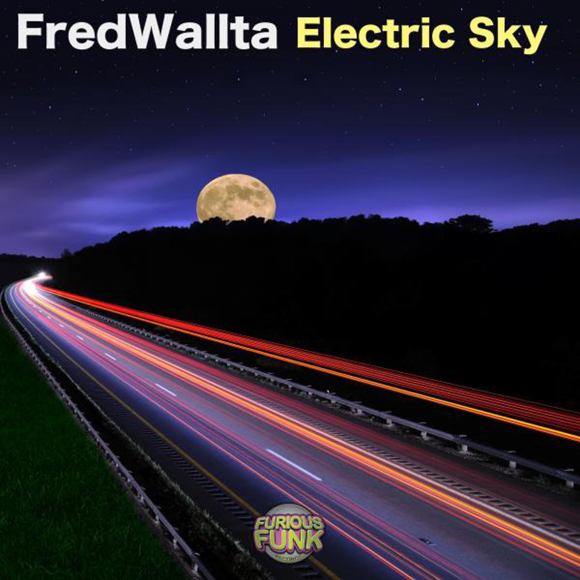 Постер альбома Electric Sky