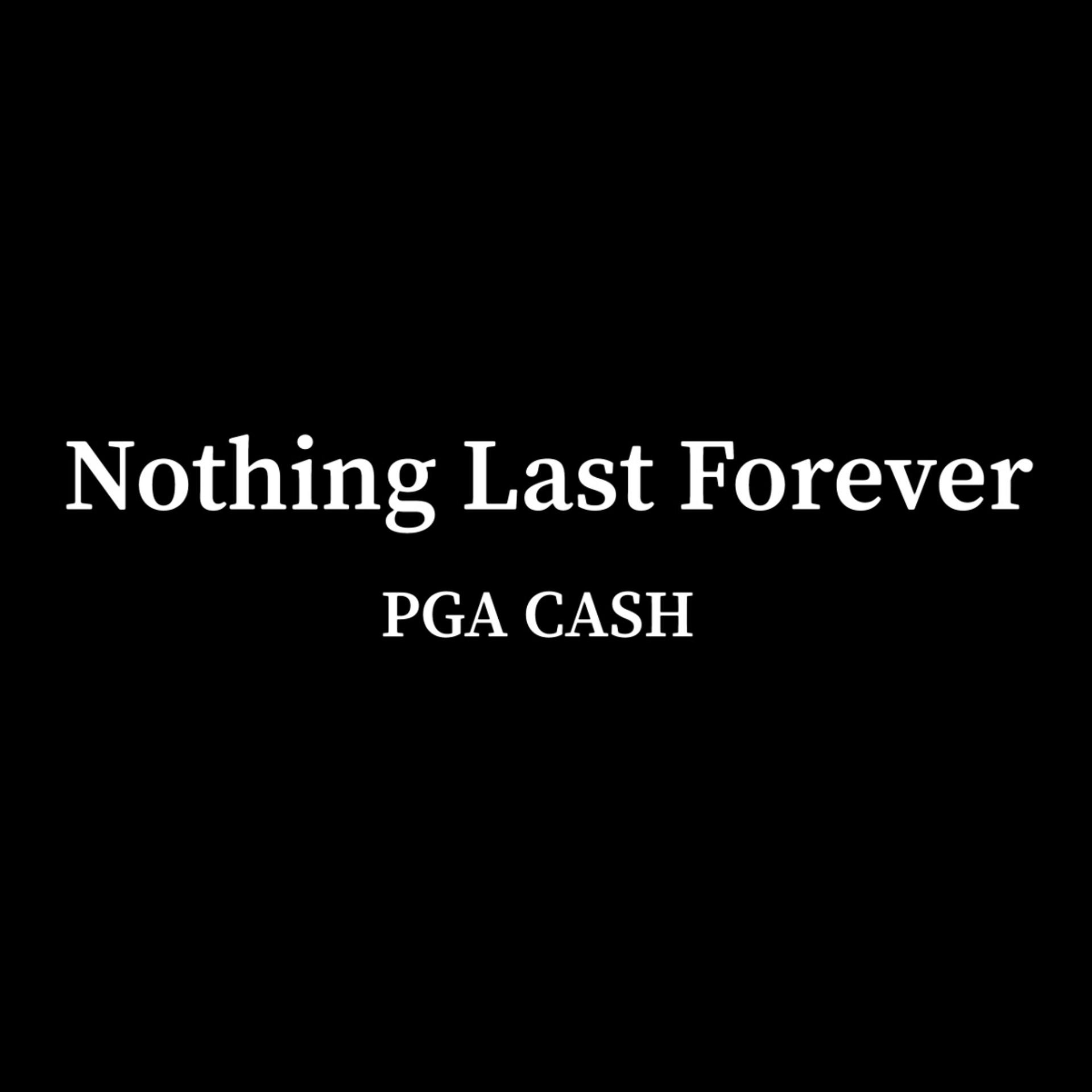Постер альбома Nothing Last Forever