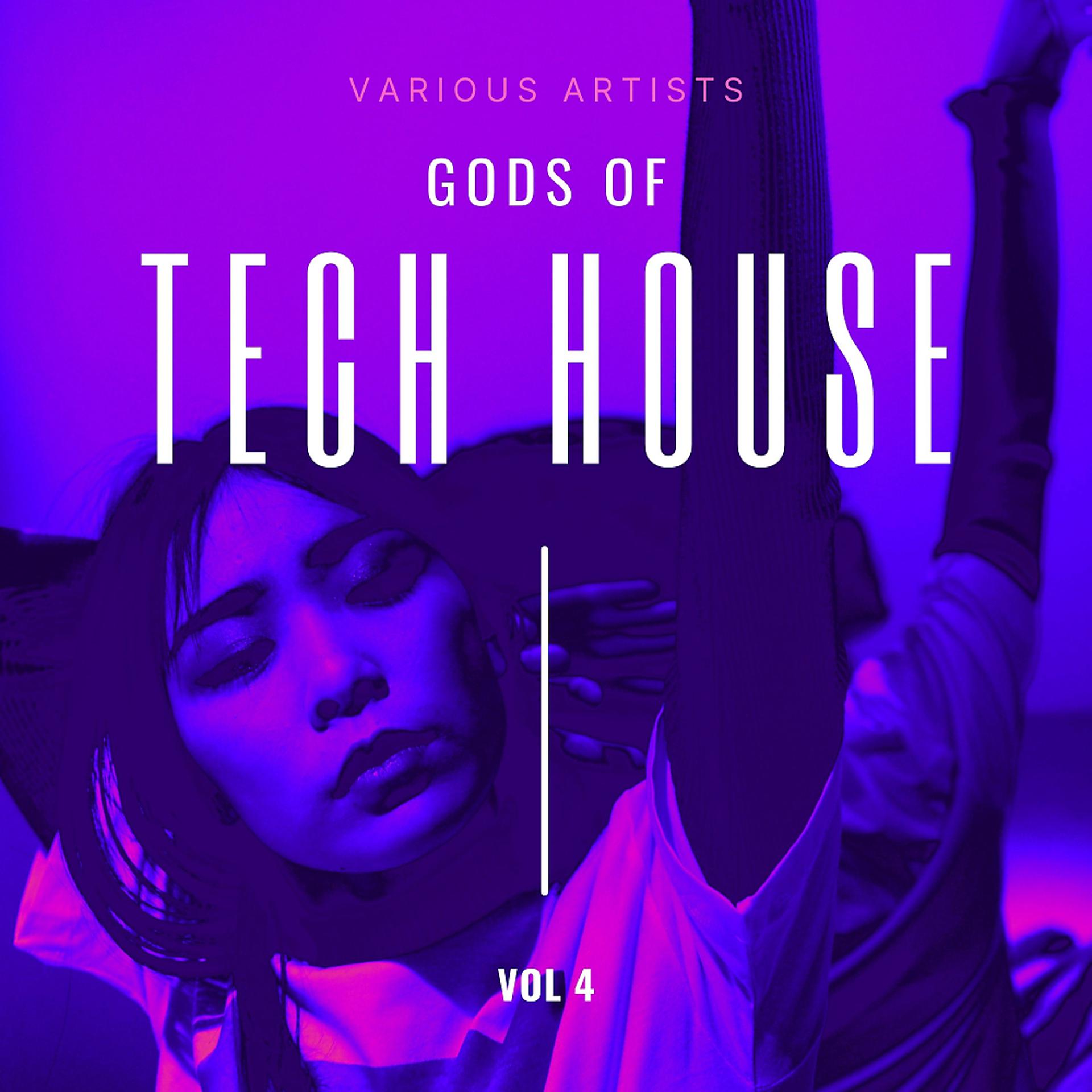 Постер альбома Gods of Tech House, Vol. 4