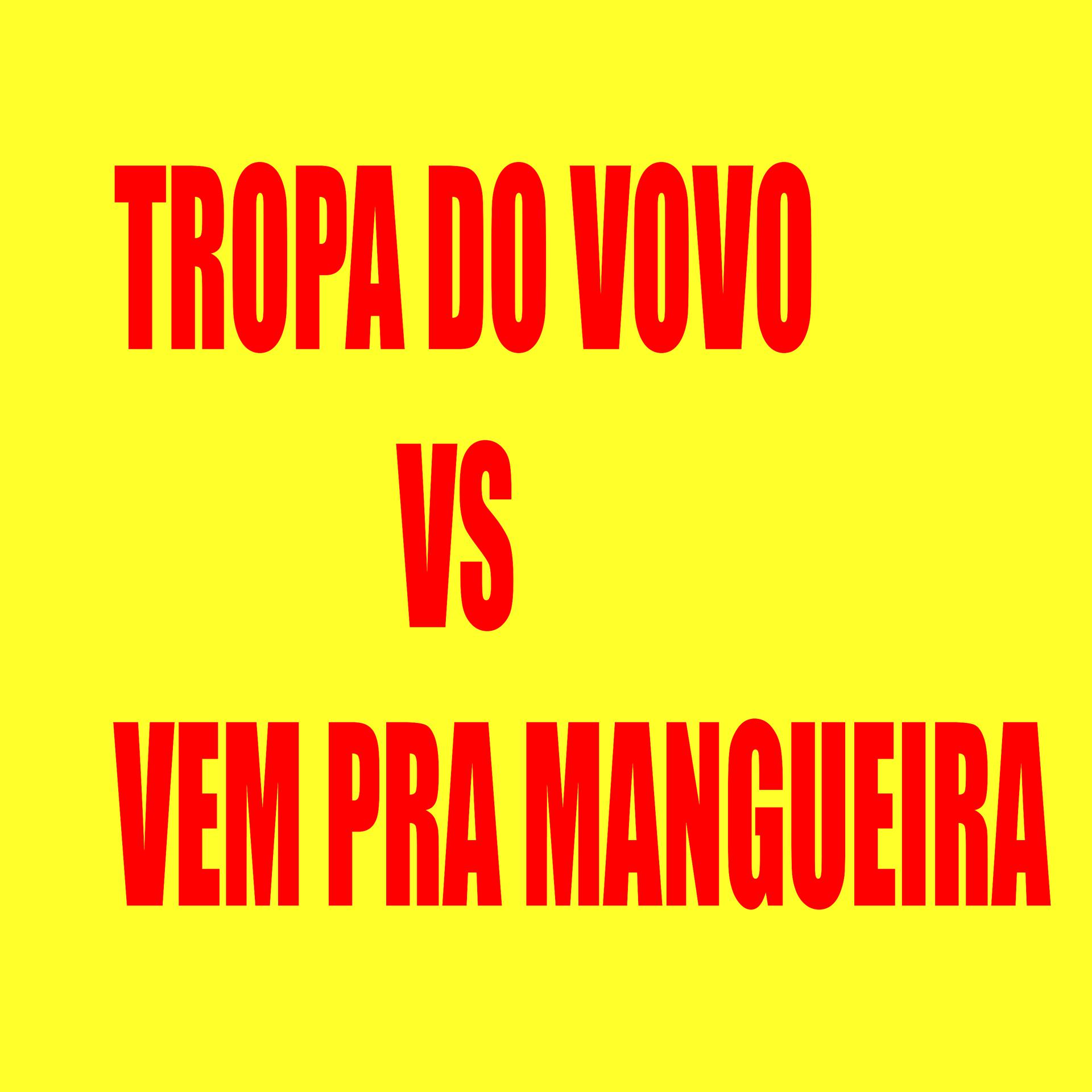 Постер альбома Tropa do Vovo Vs Vem pra Mangueira
