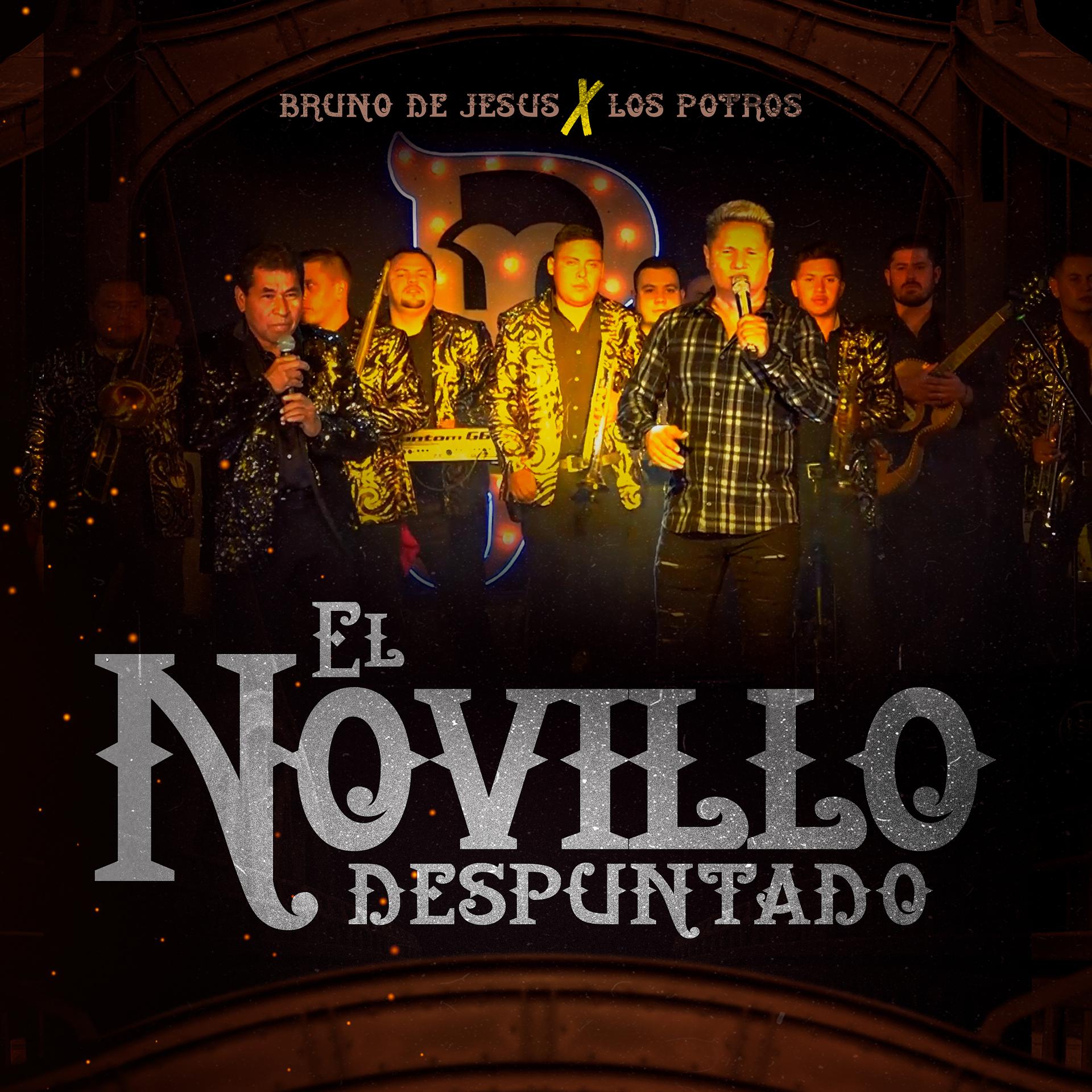 Постер альбома El Novillo Despuntado