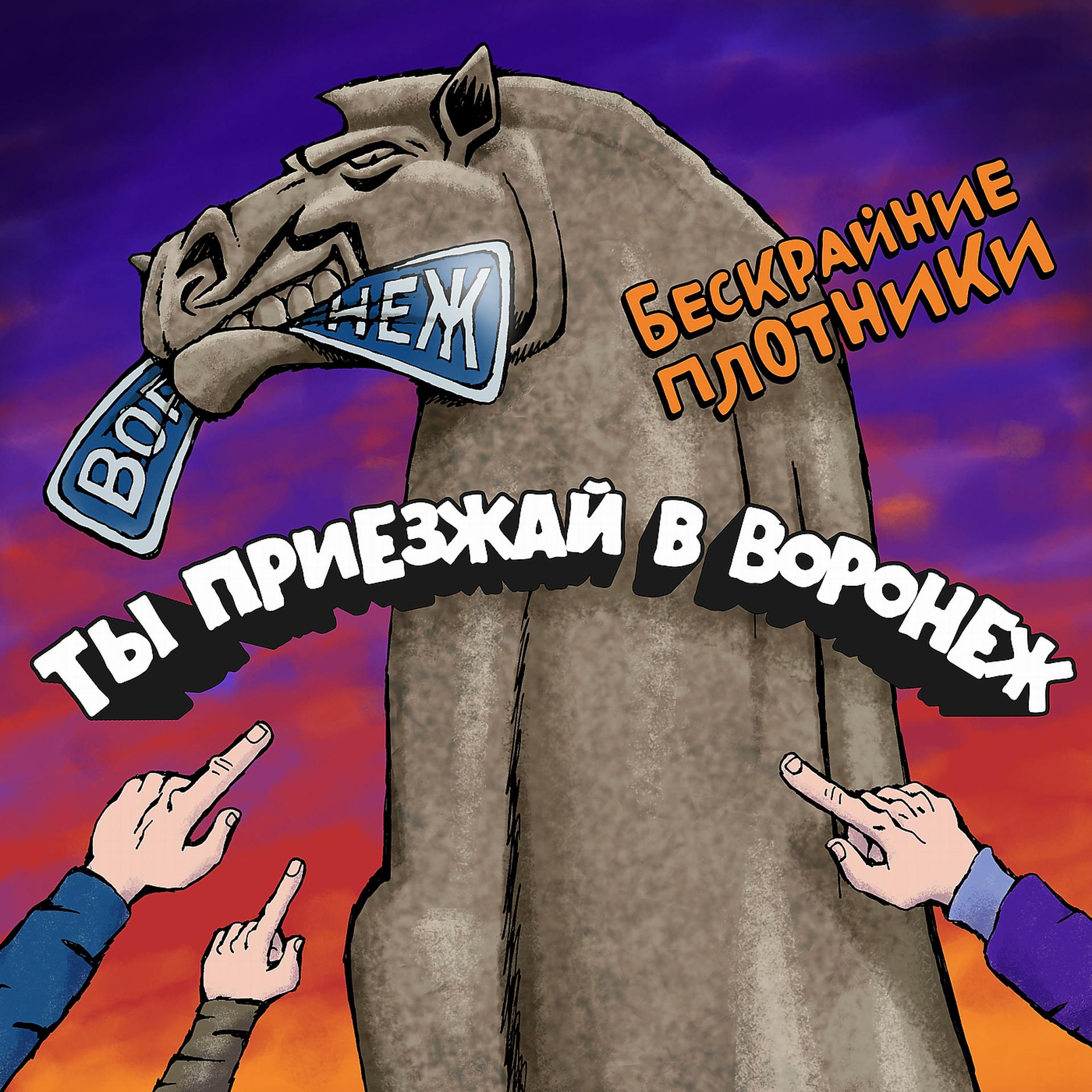 Постер альбома Ты приезжай в Воронеж !