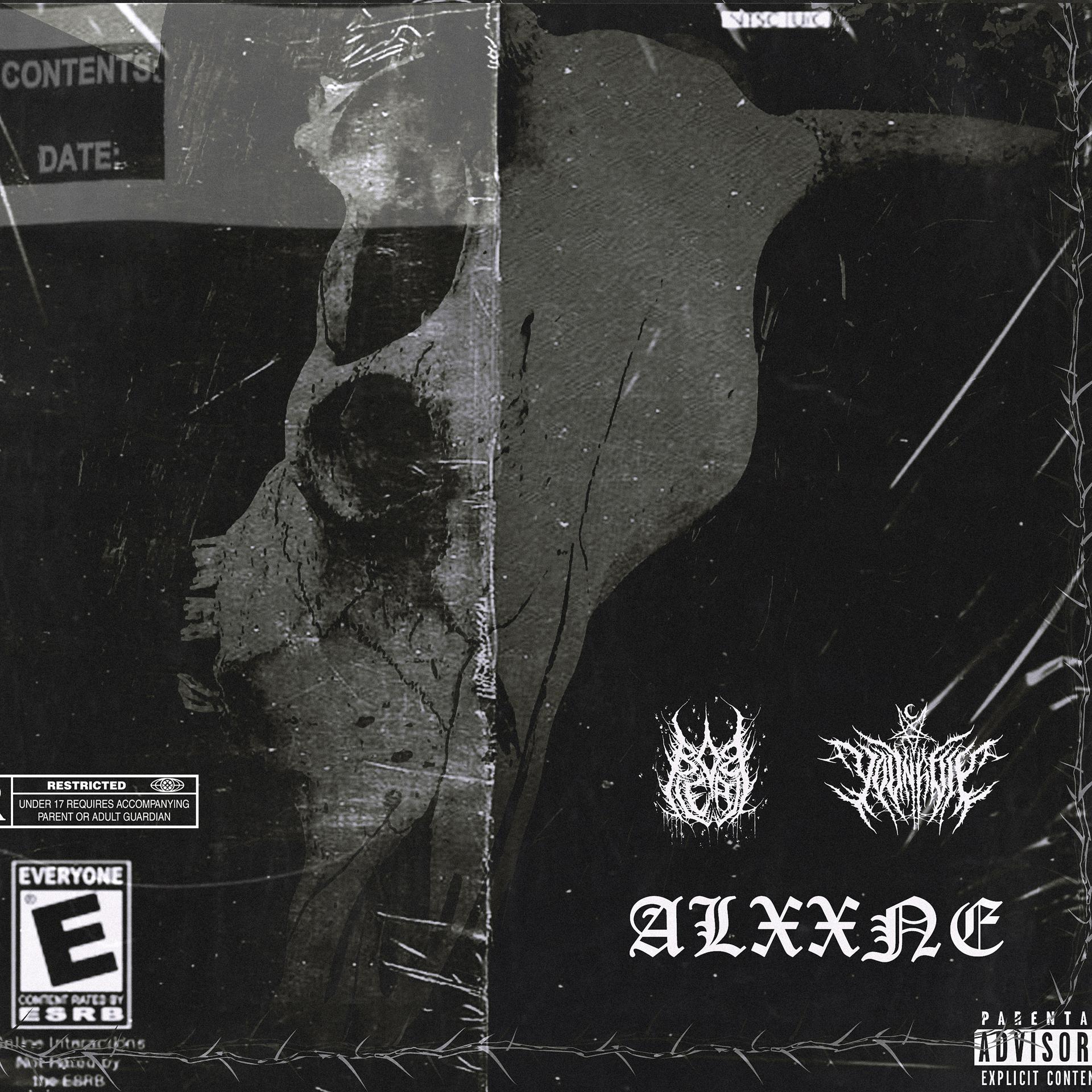 Постер альбома Alxxne