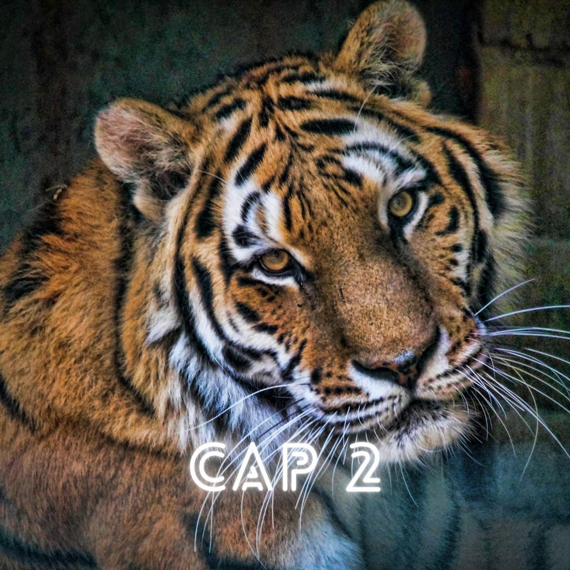 Постер альбома Cap2