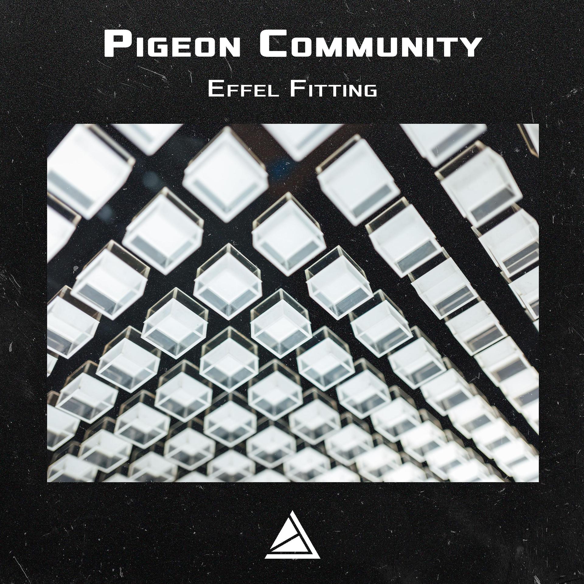 Постер к треку Pigeon Community - Effel Fitting