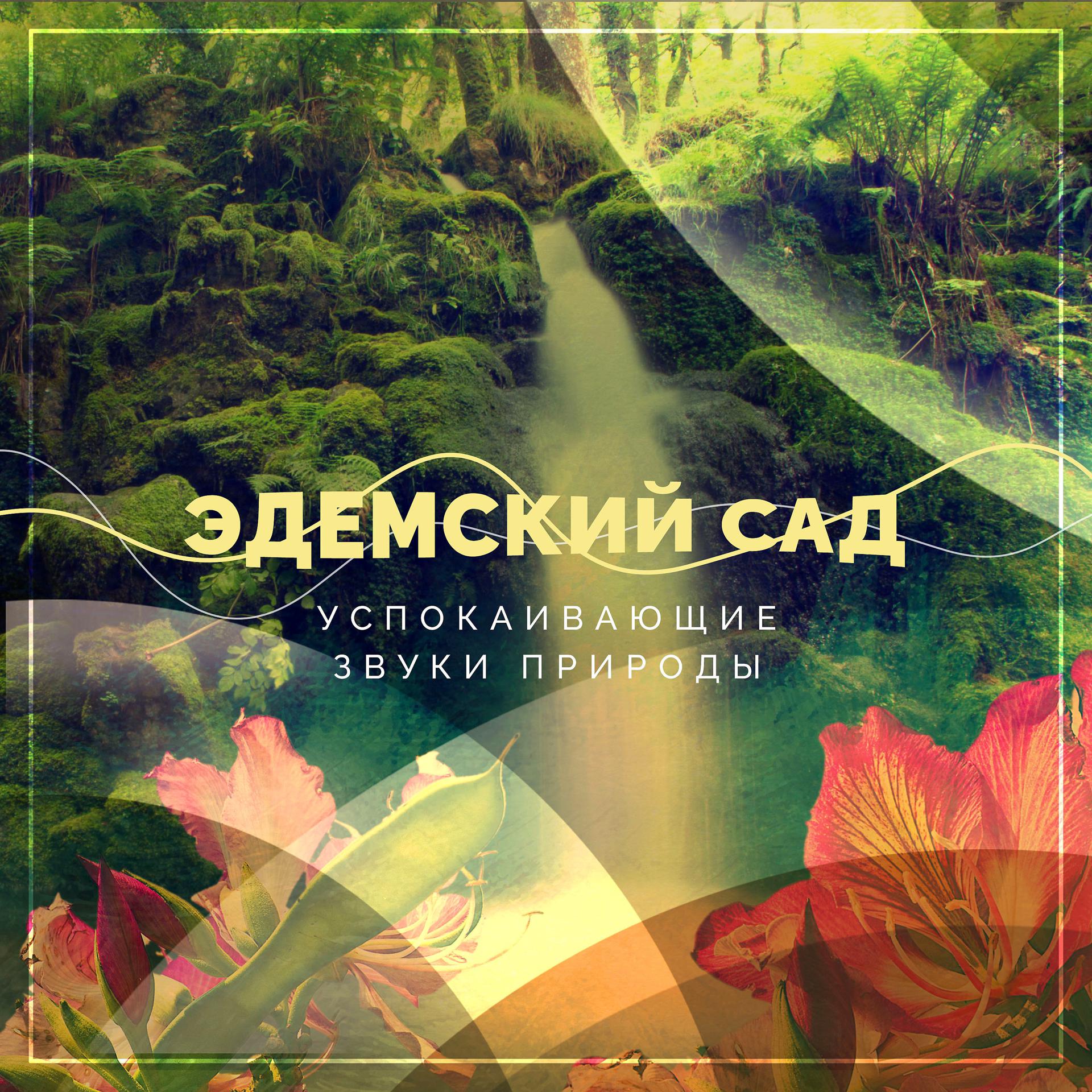 Постер альбома Успокаивающие звуки природы - Эдемский сад
