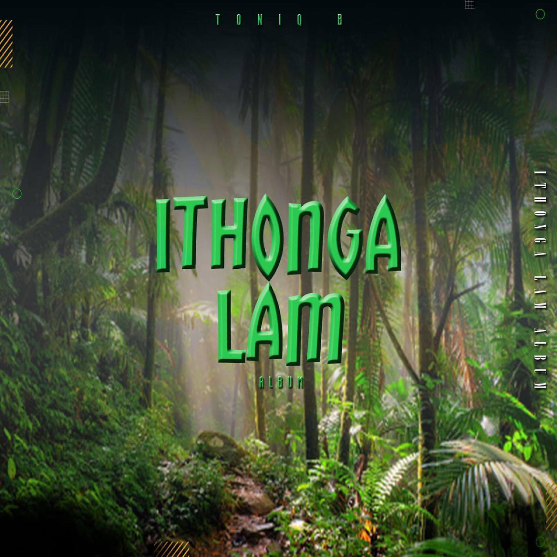 Постер альбома Ithonga Lam