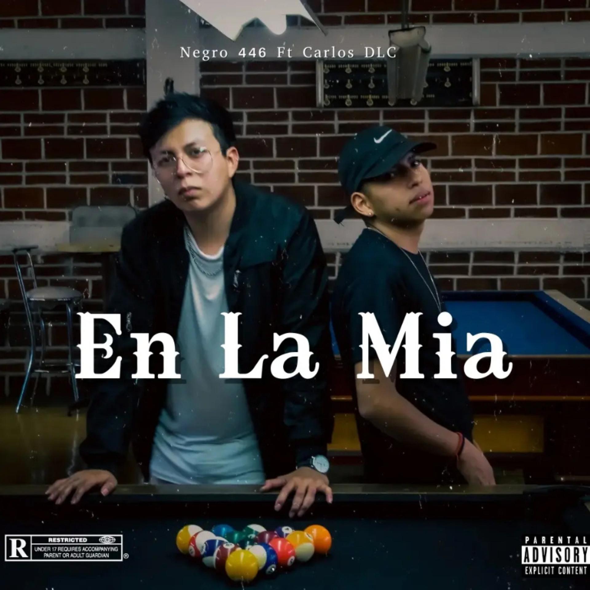 Постер альбома En la Mia