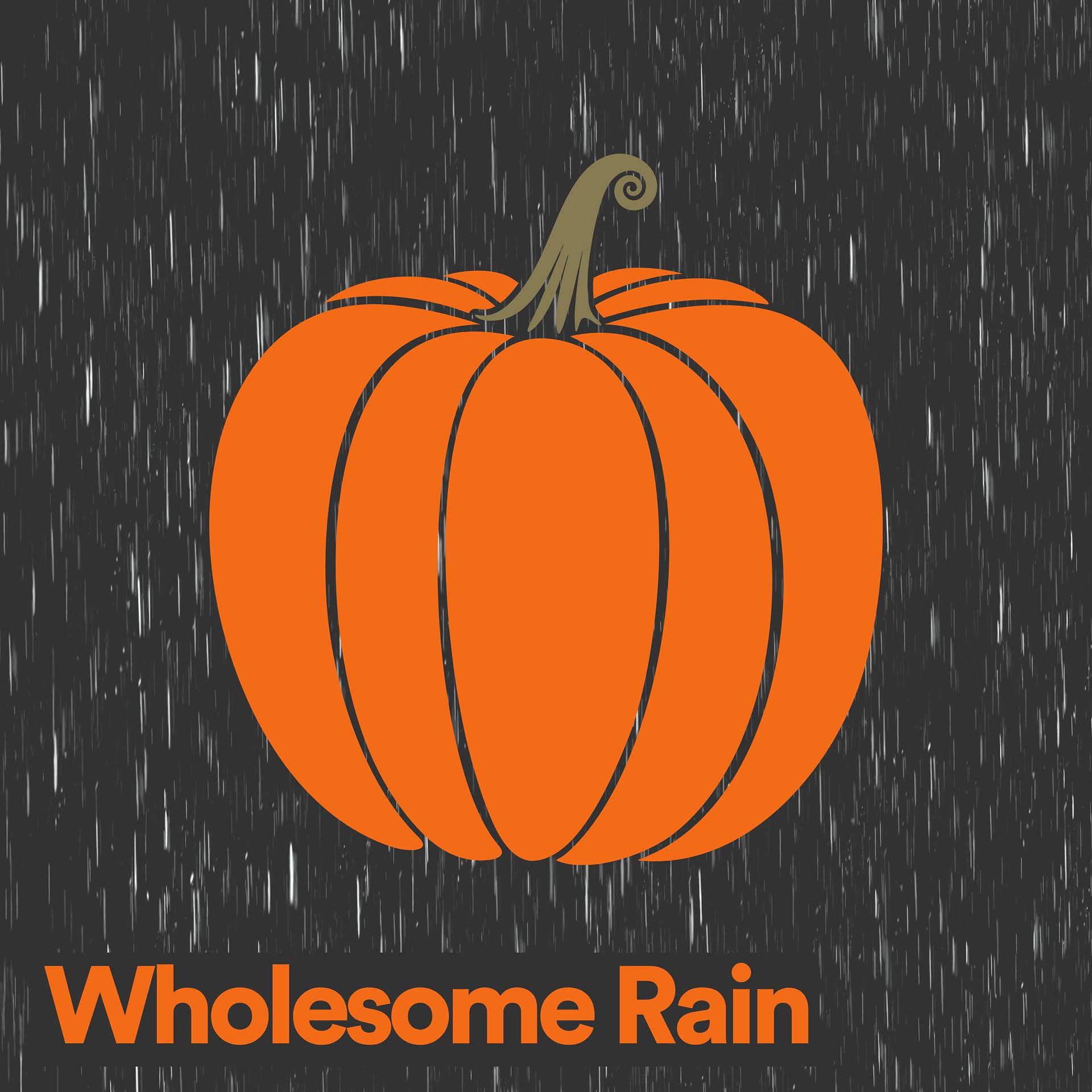 Постер альбома Wholesome Rain