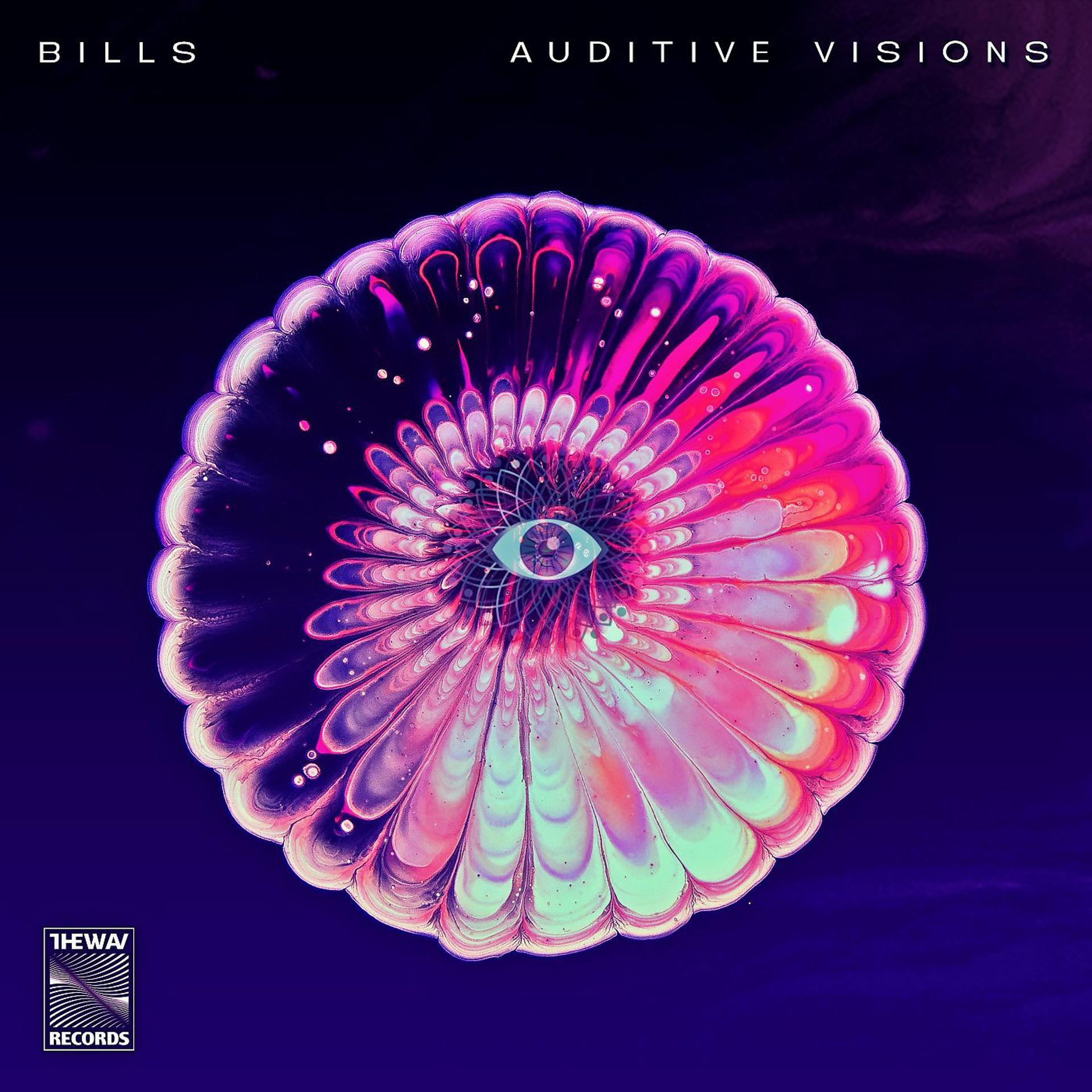 Постер альбома Auditive Visions