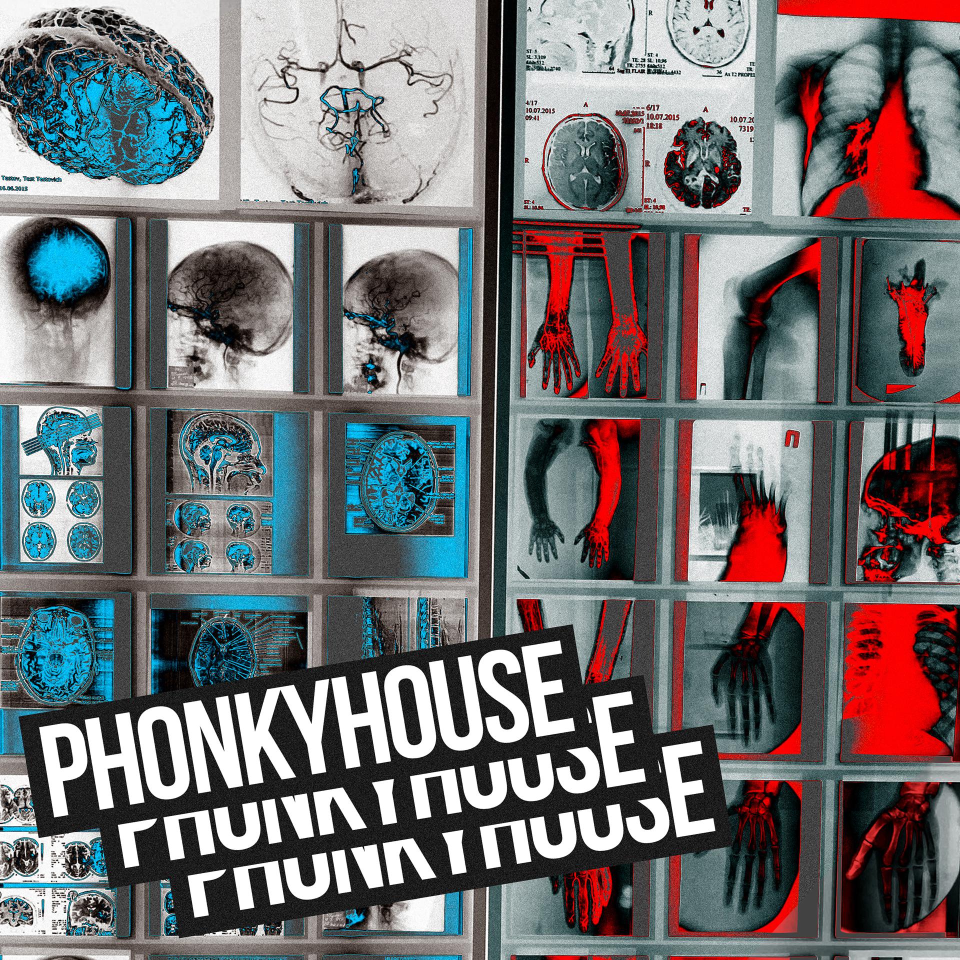 Постер альбома PhonkyHouse