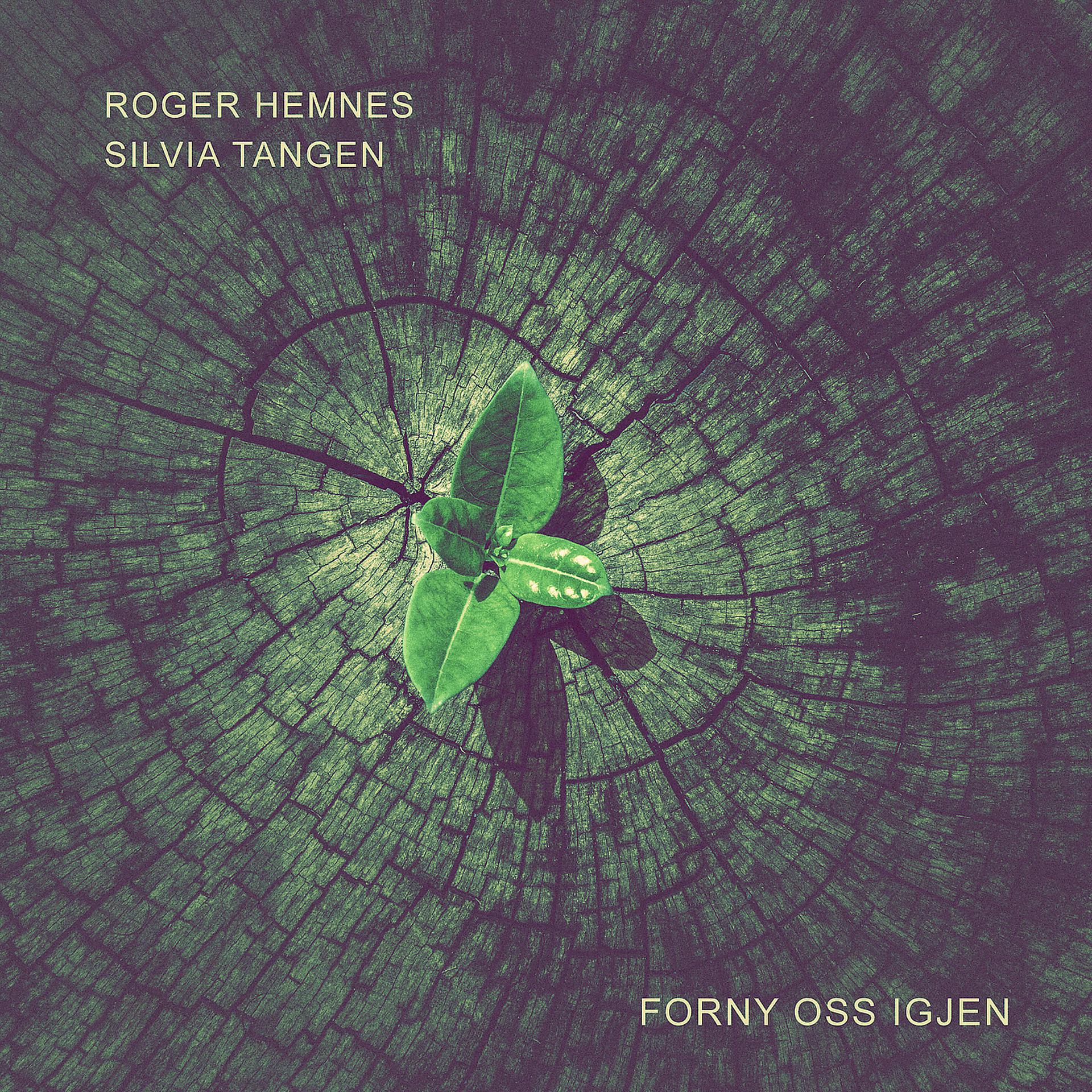 Постер альбома Forny Oss Igjen
