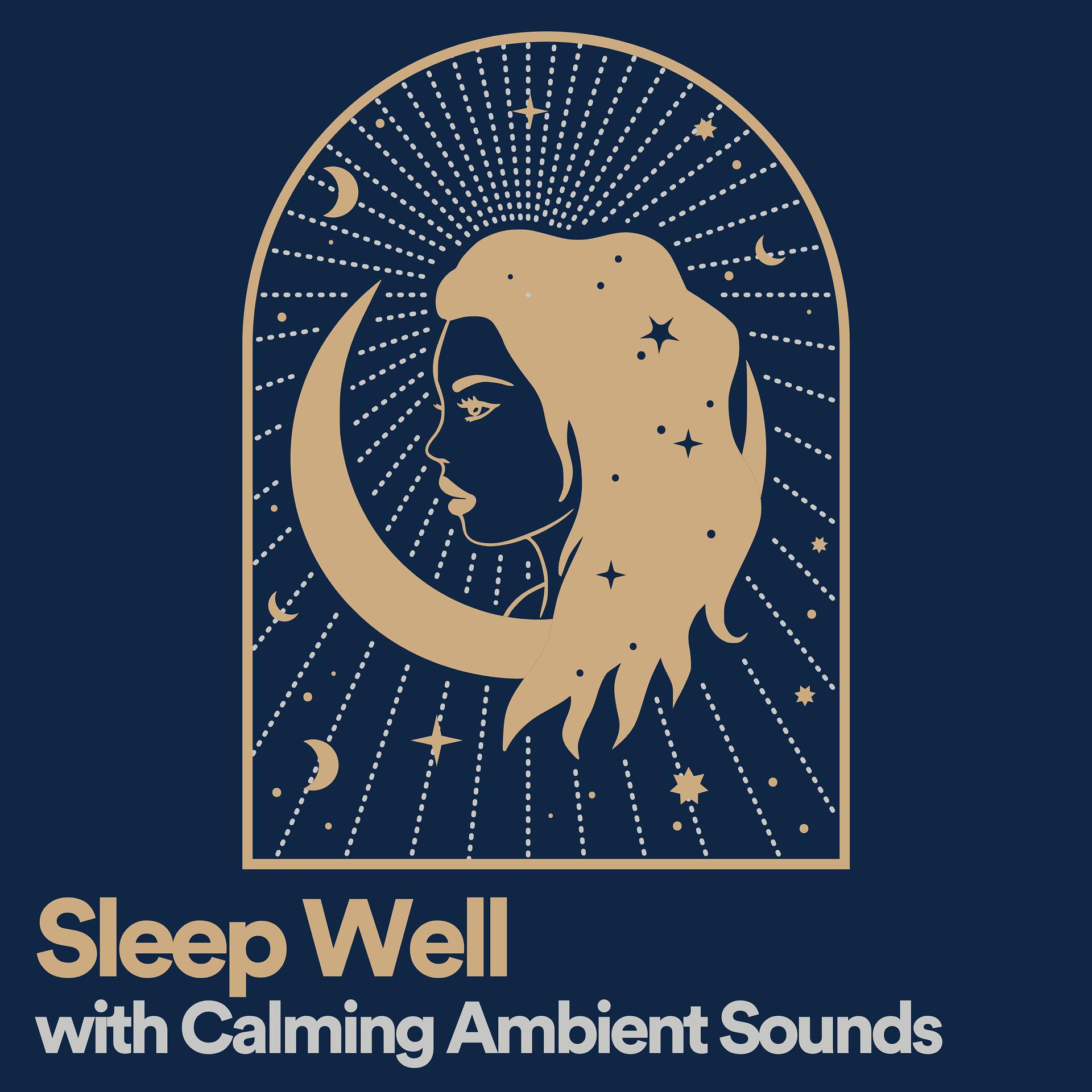 Постер альбома Sleep Well with Calming Ambient Sounds