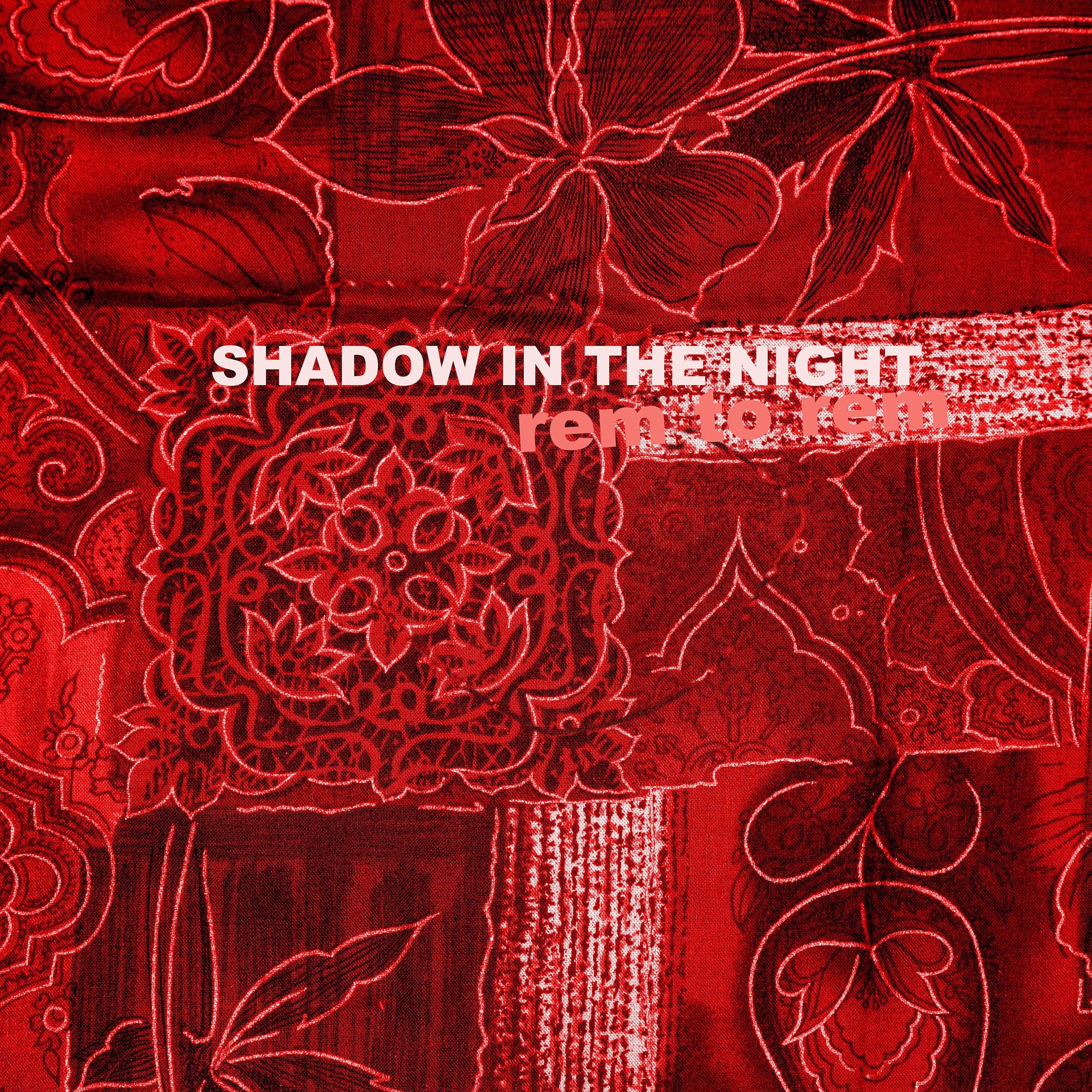 Постер альбома Shadow in the Night