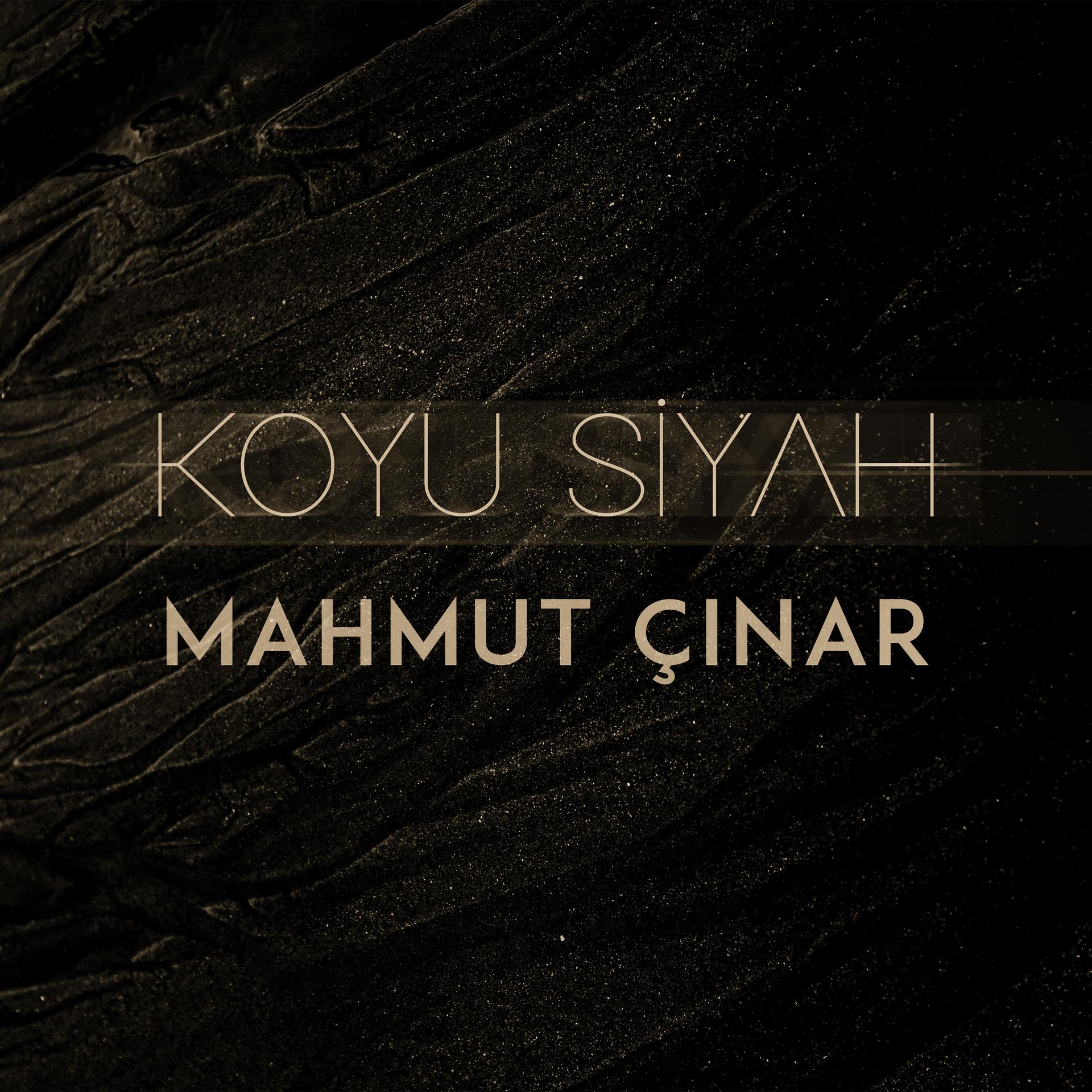 Постер альбома Koyu Siyah
