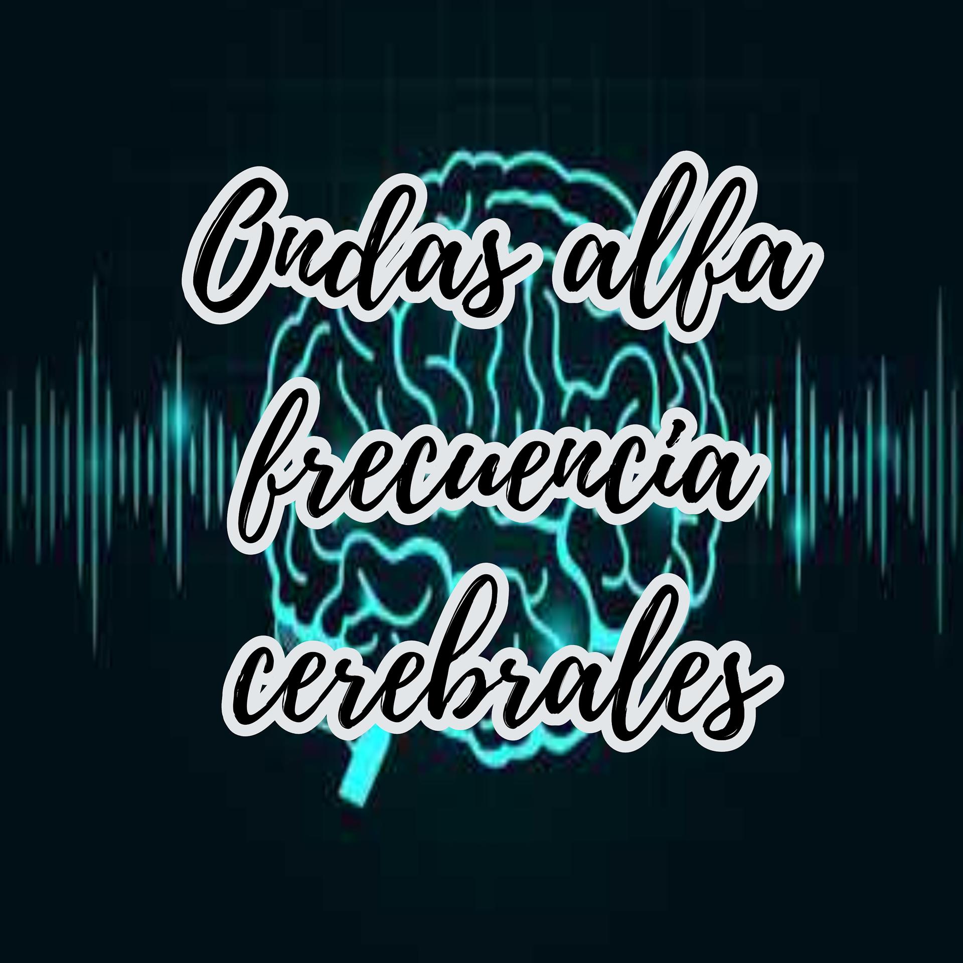 Постер альбома Ondas alfa frecuencia cerebrales
