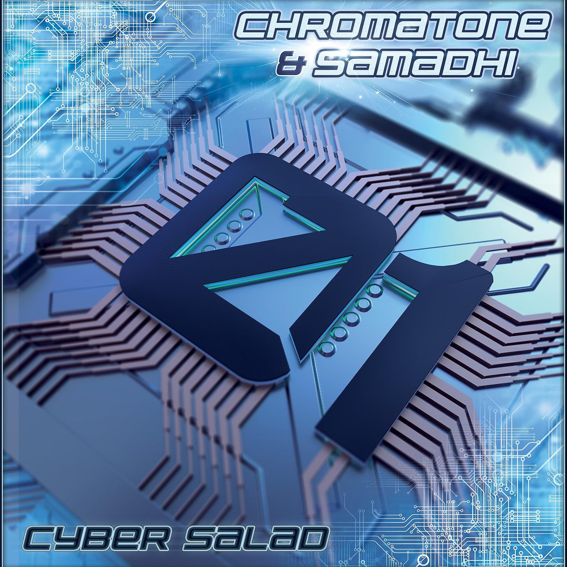Постер альбома Cyber Salad