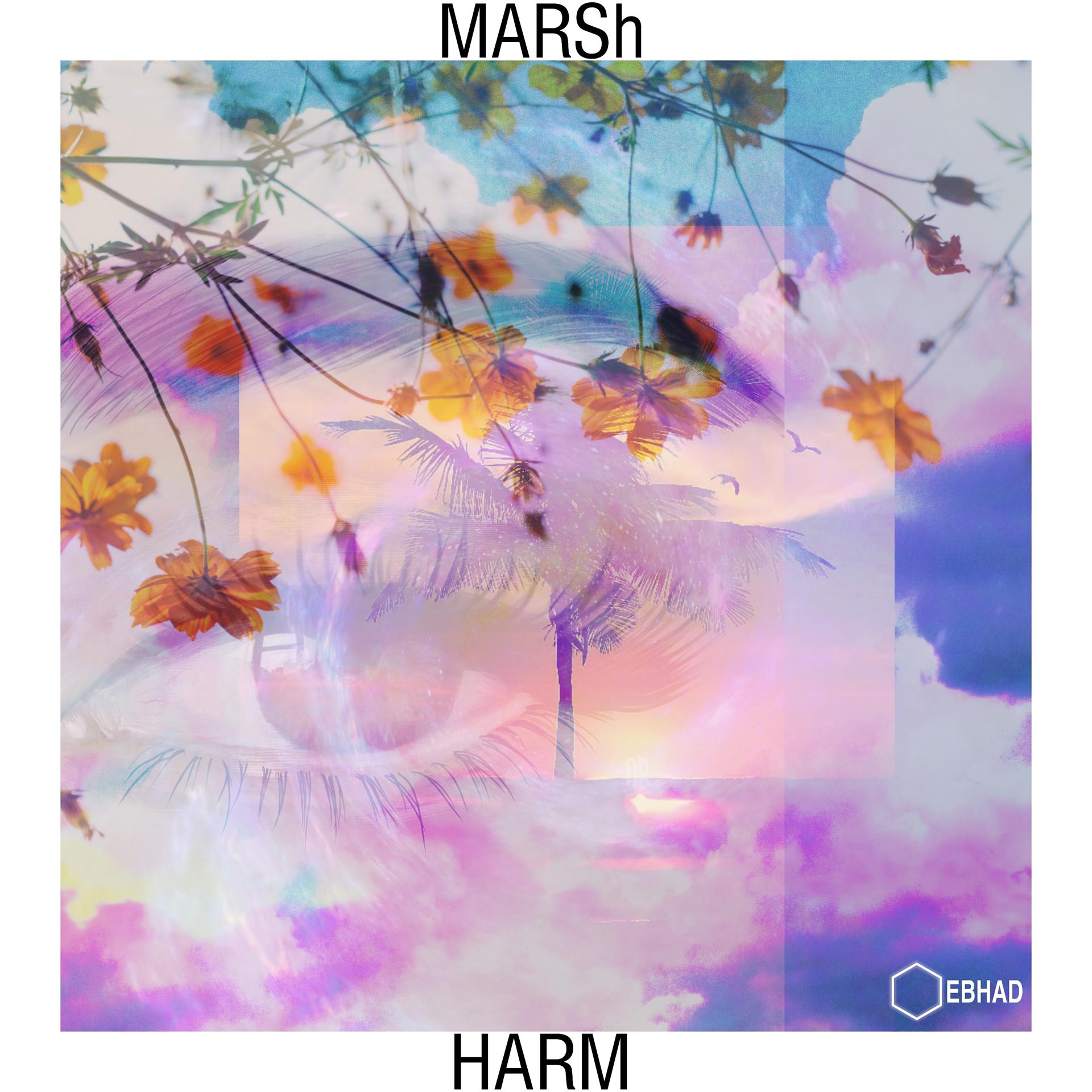 Постер альбома Marsh