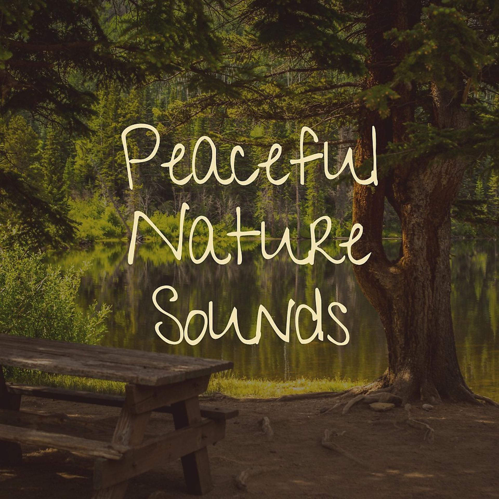 Постер альбома Peaceful Nature Sounds
