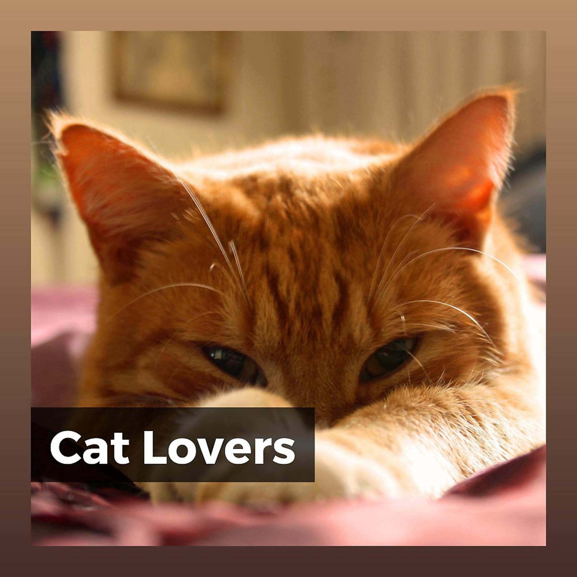 Постер альбома Cat Lovers