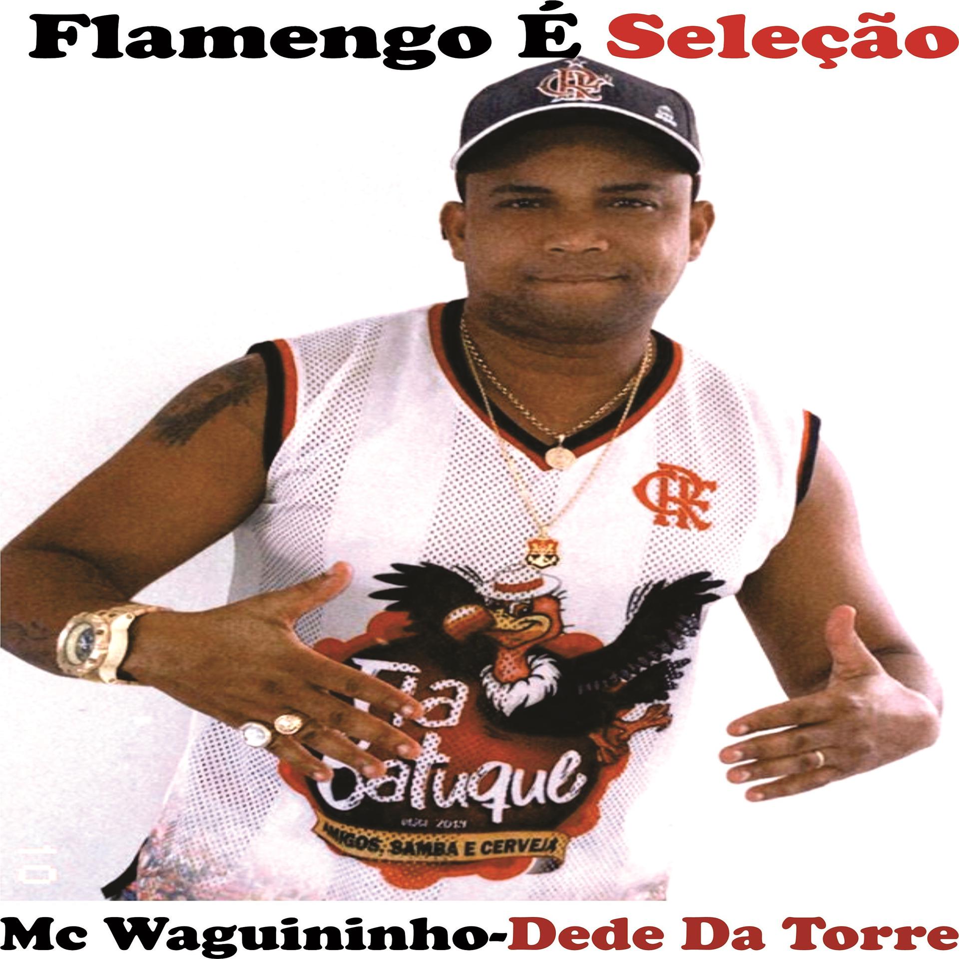 Постер альбома Flamengo e Seleção