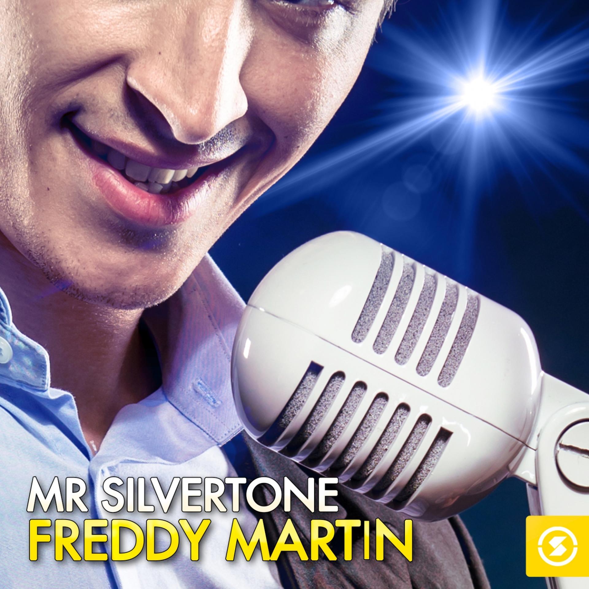 Постер альбома Mr. Silvertone: Freddy Martin