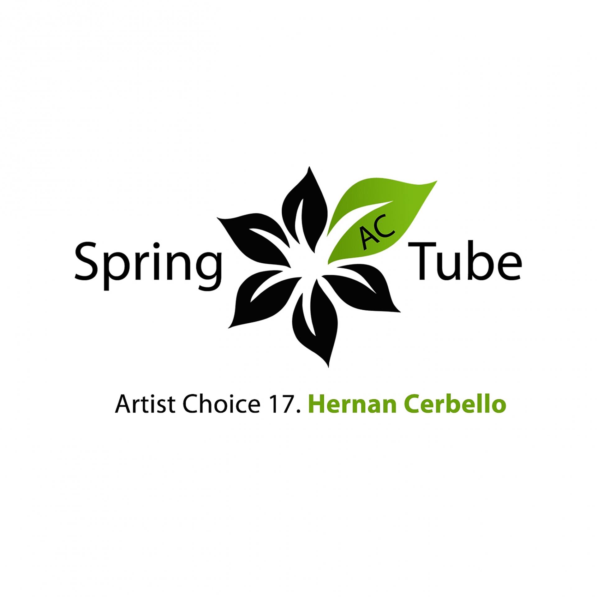 Постер альбома Artist Choice 017. Hernan Cerbello