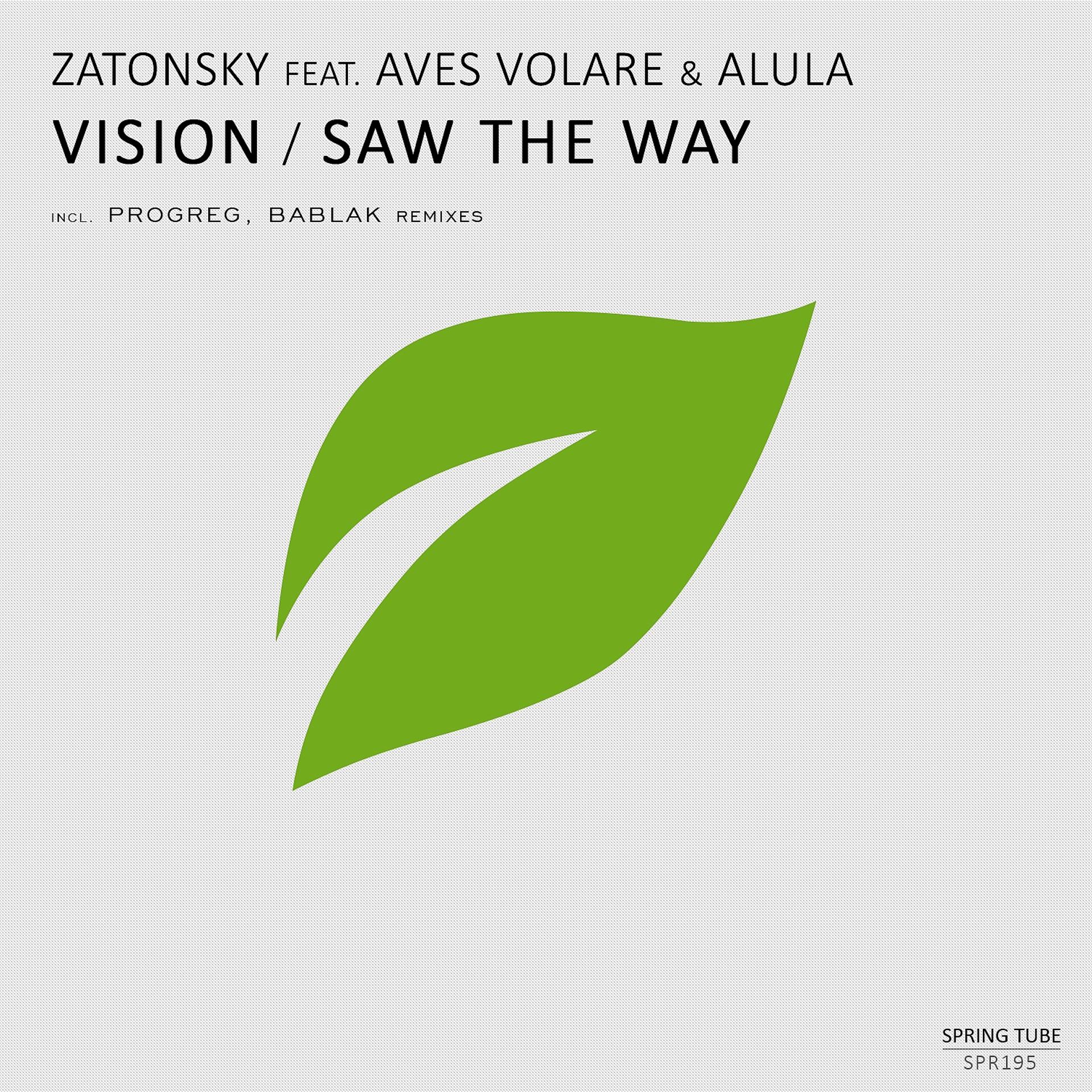 Постер альбома Vision / Saw the Way