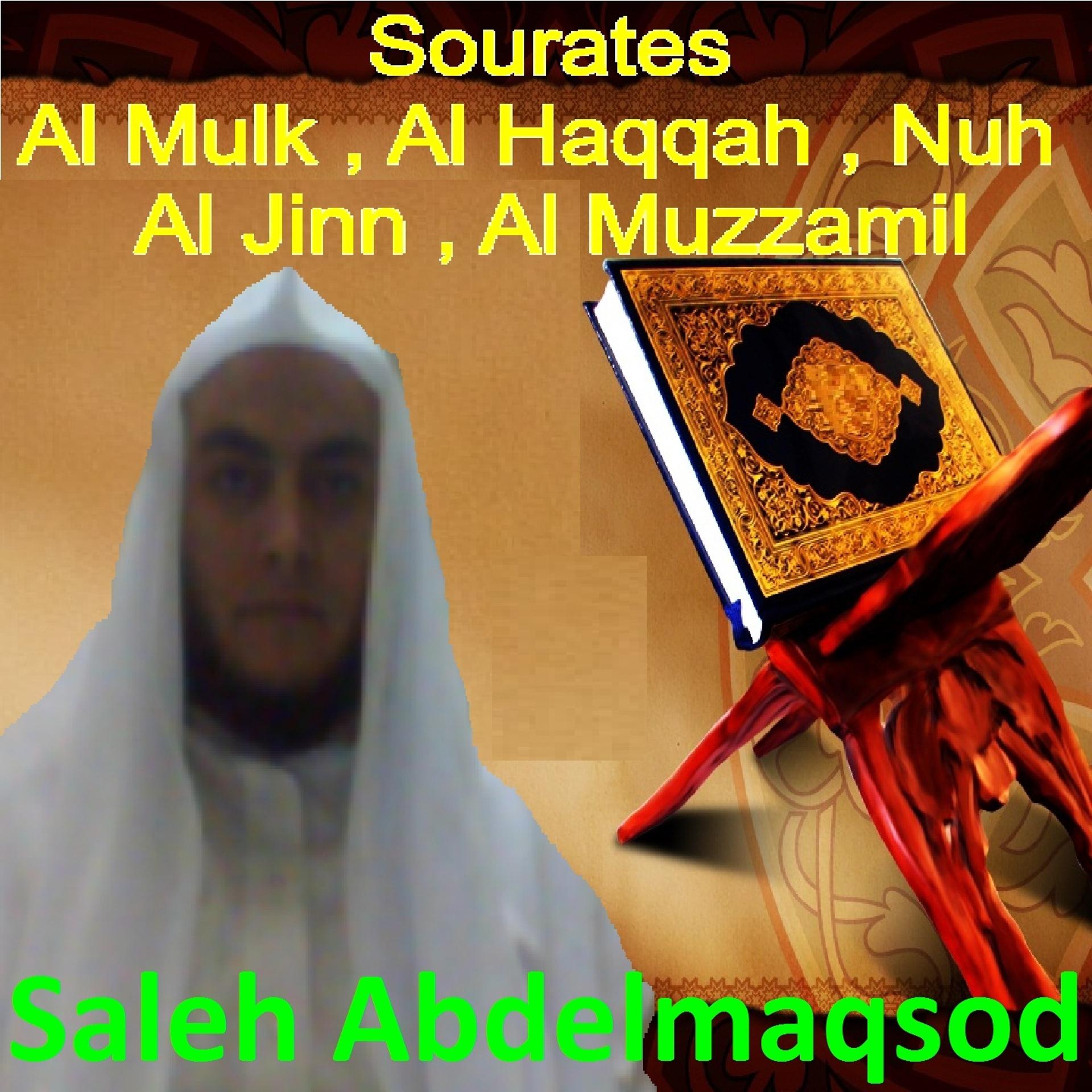 Постер альбома Sourates Al Mulk, Al Haqqah, Nuh, Al Jinn, Al Muzzamil
