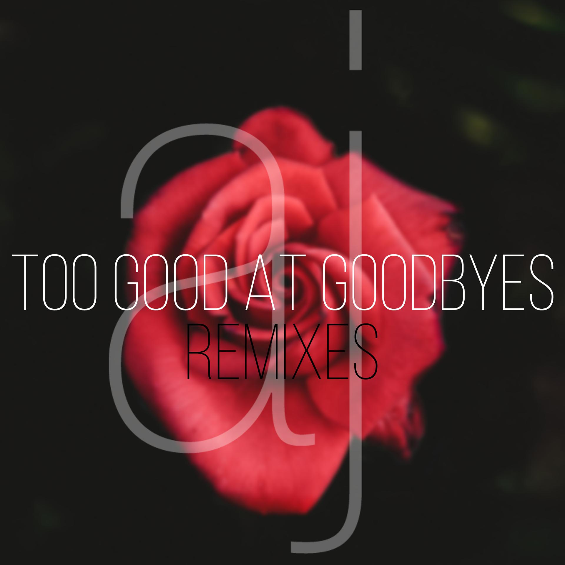 Постер альбома Too Good At Goodbyes