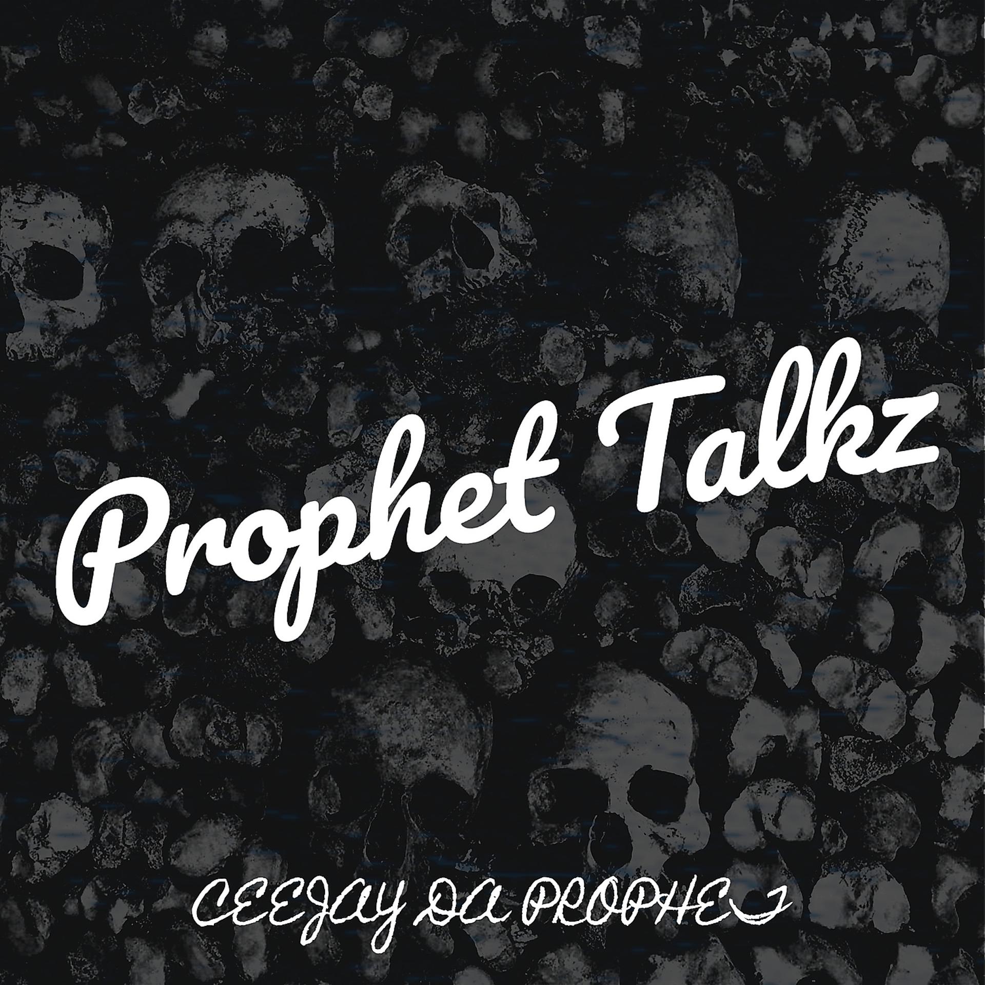 Постер альбома Prophet Talkz