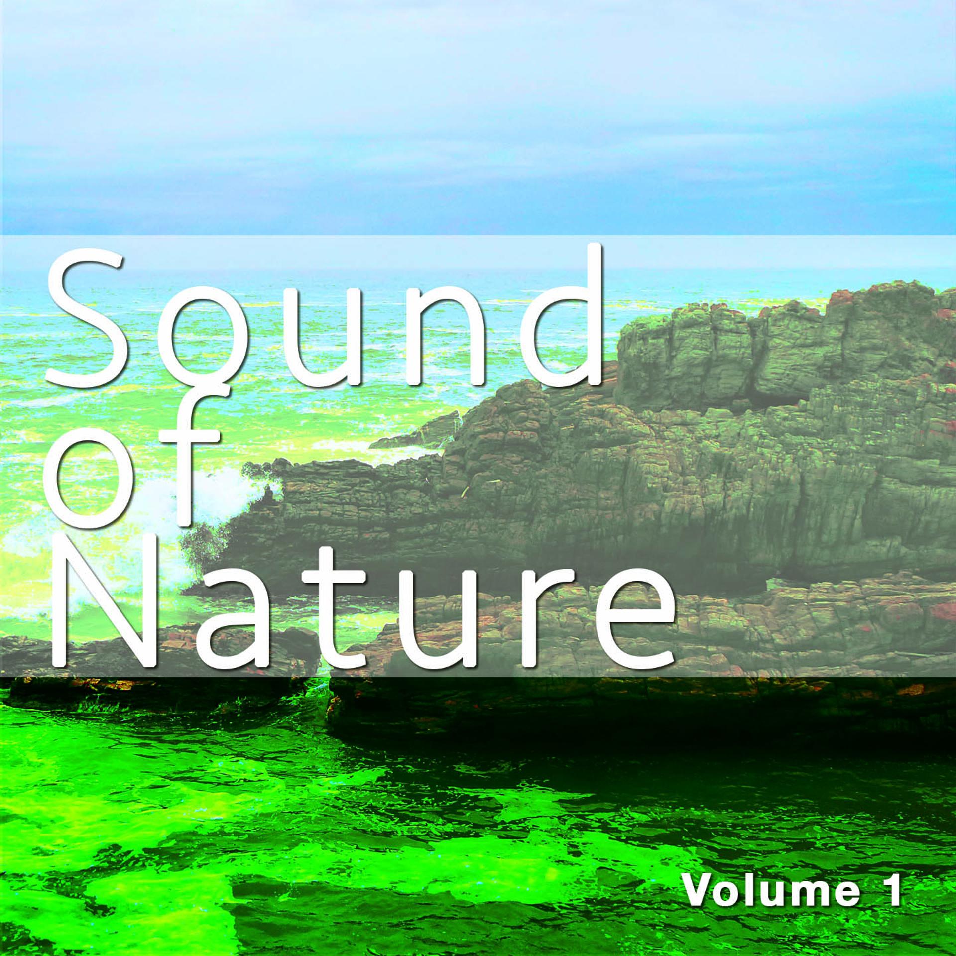 Постер альбома Sound of Nature, Vol. 1