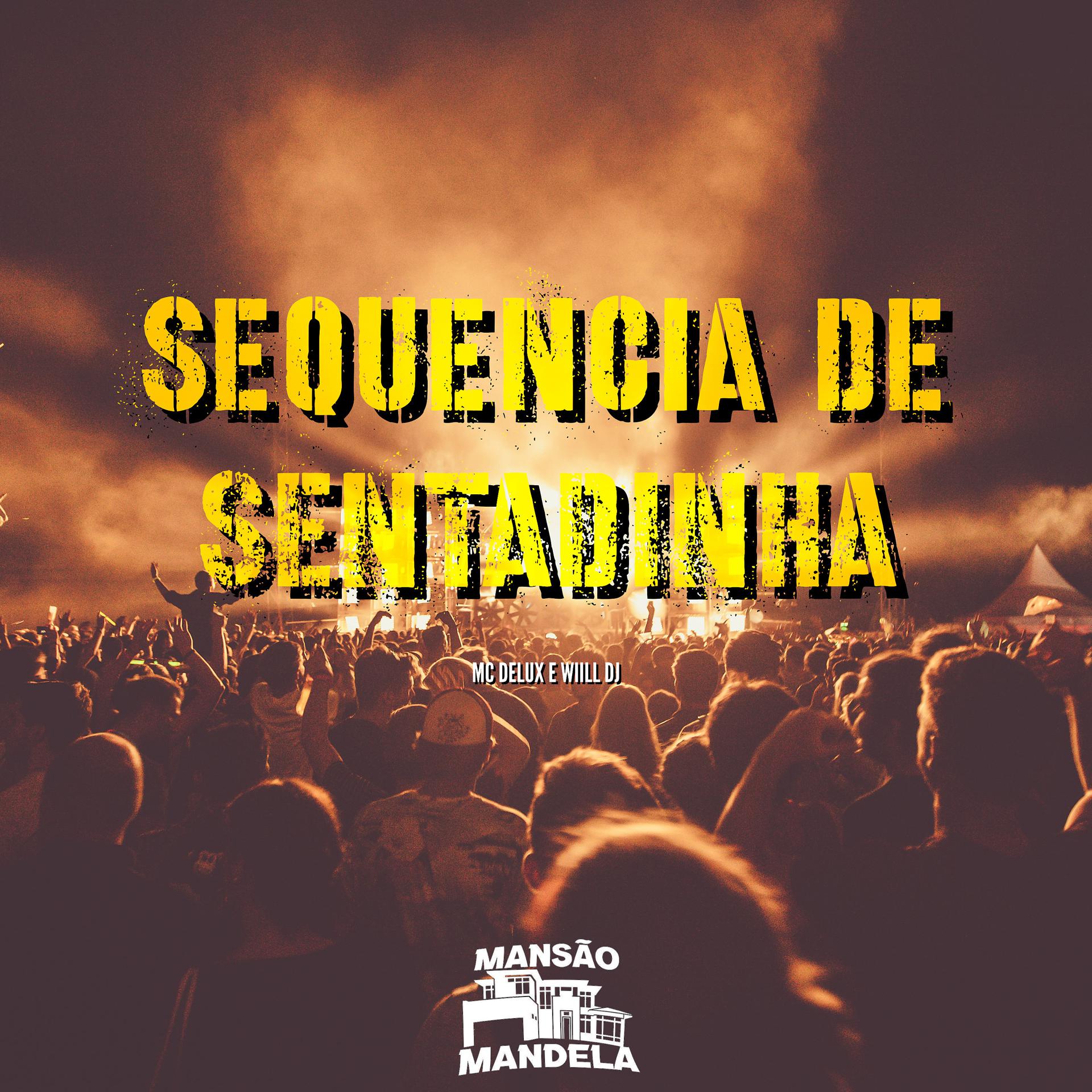 Постер альбома Sequencia de Sentadinha