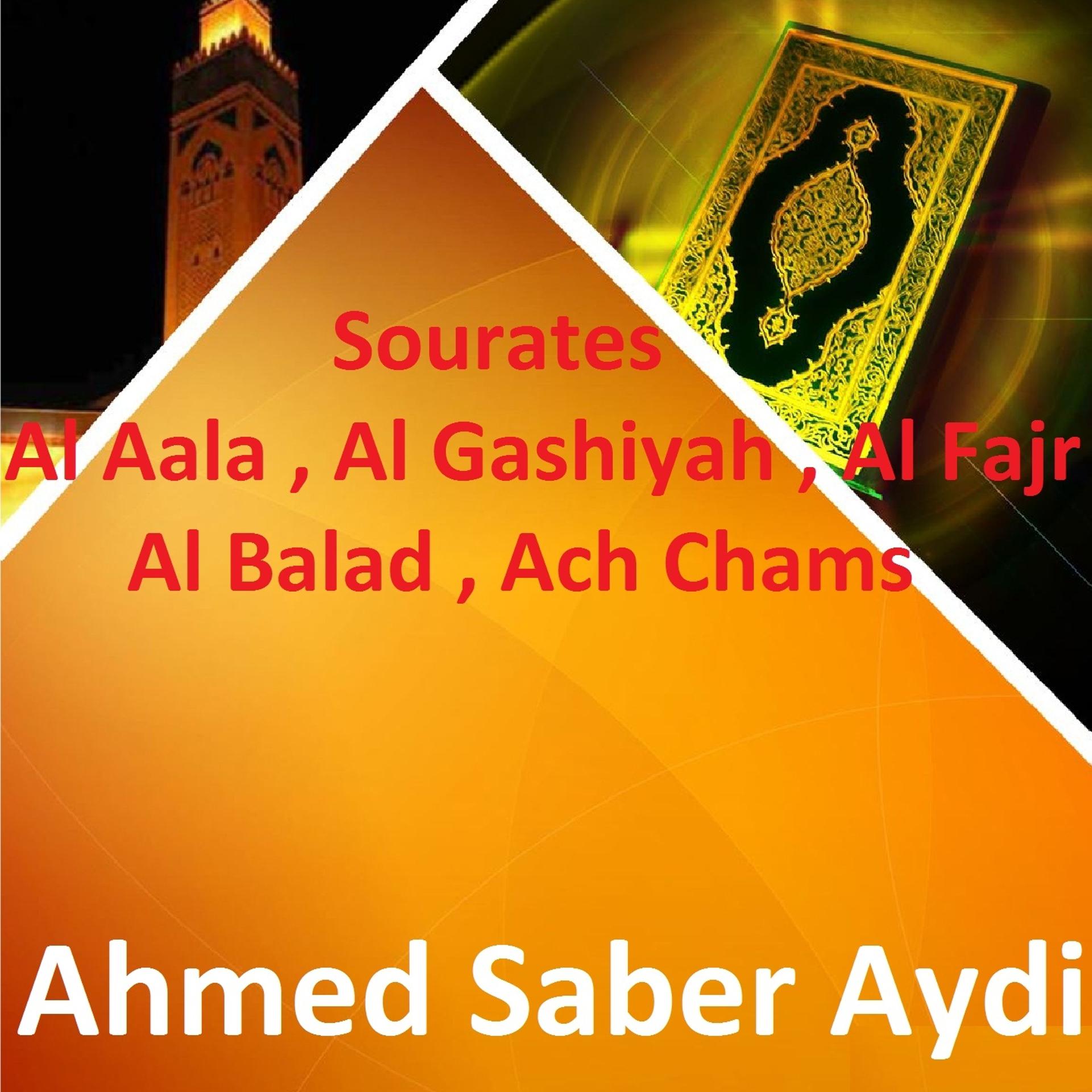 Постер альбома Sourates Al Aala, Al Gashiyah, Al Fajr, Al Balad, Ach Chams