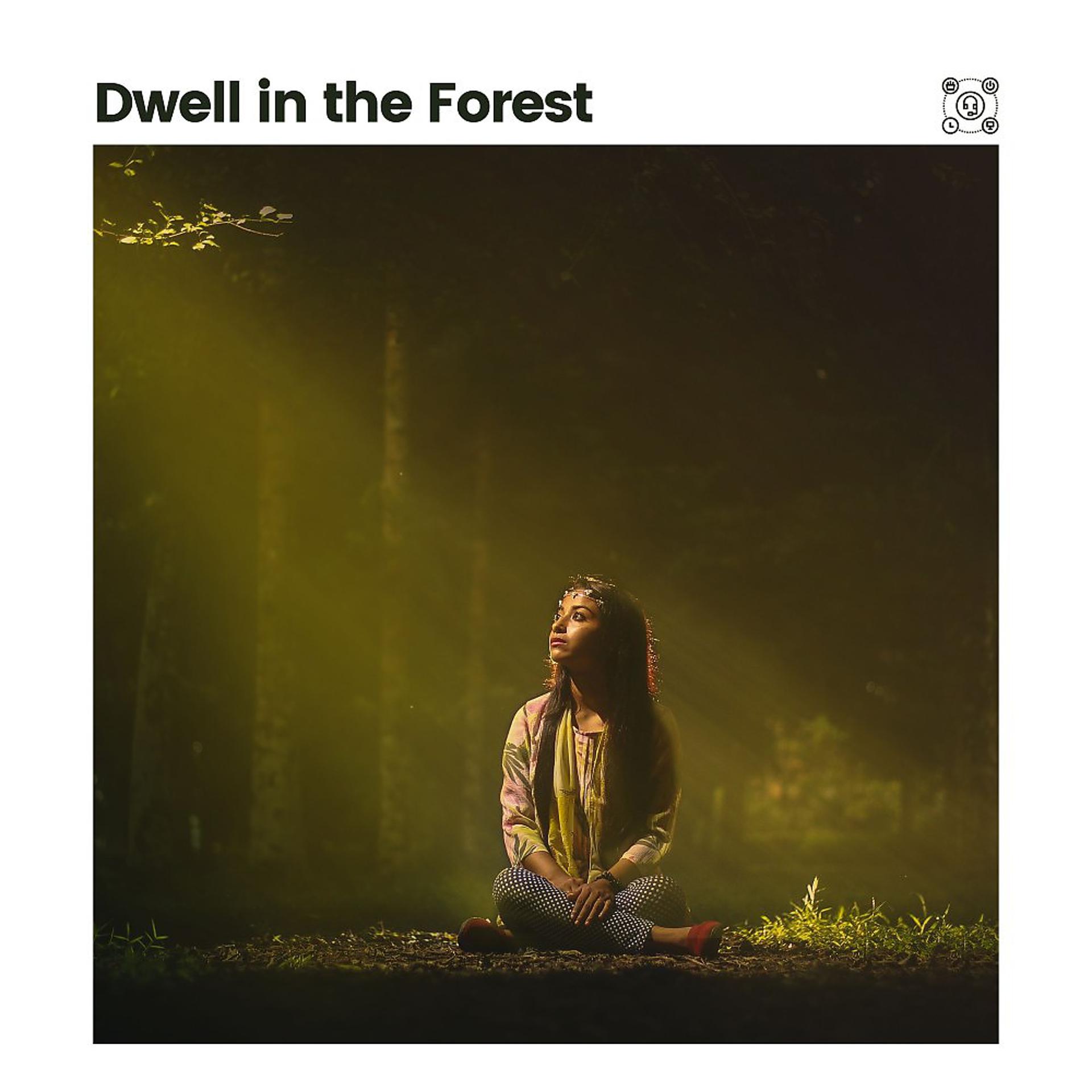 Постер альбома Dwell in the Forest
