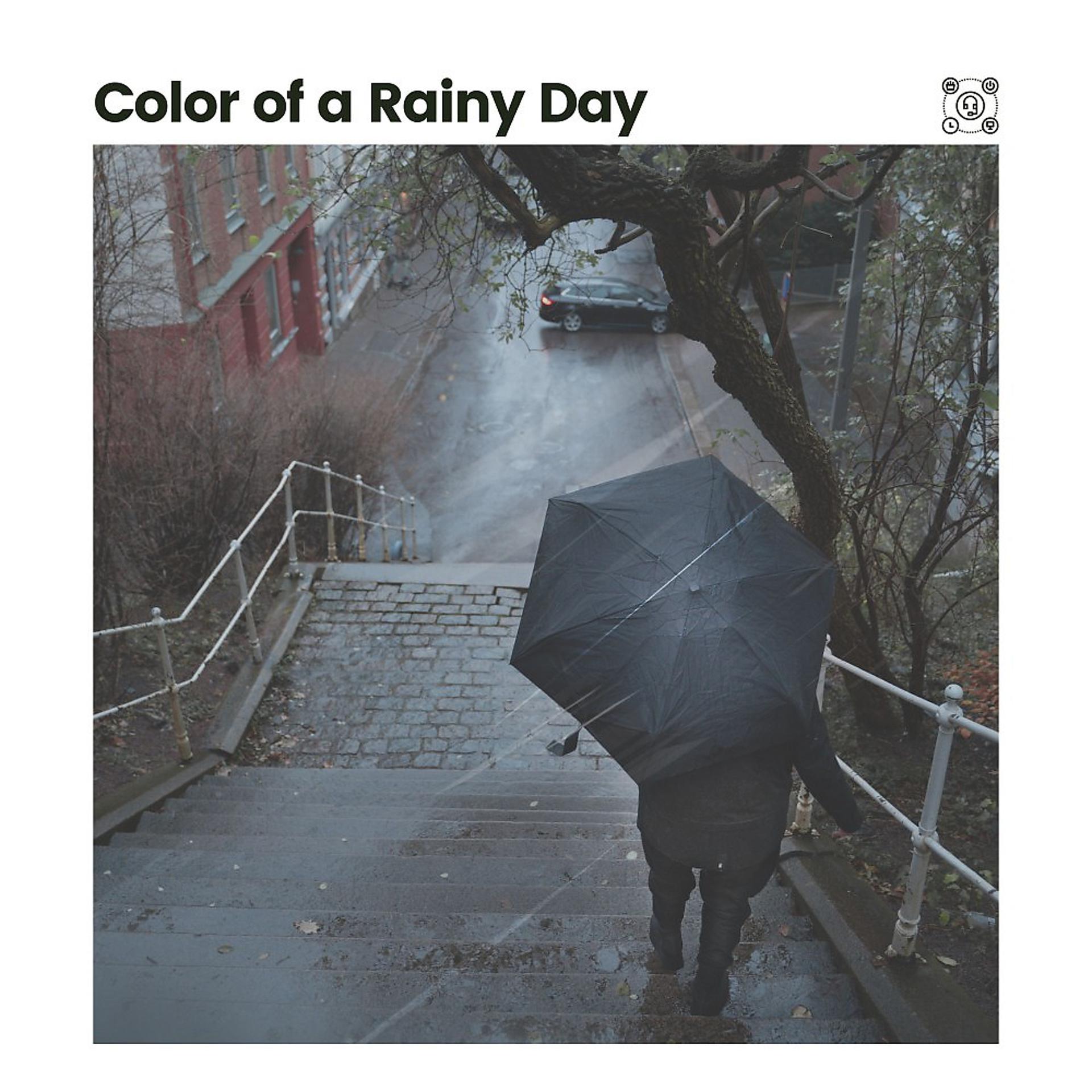 Постер альбома Color of a Rainy Day