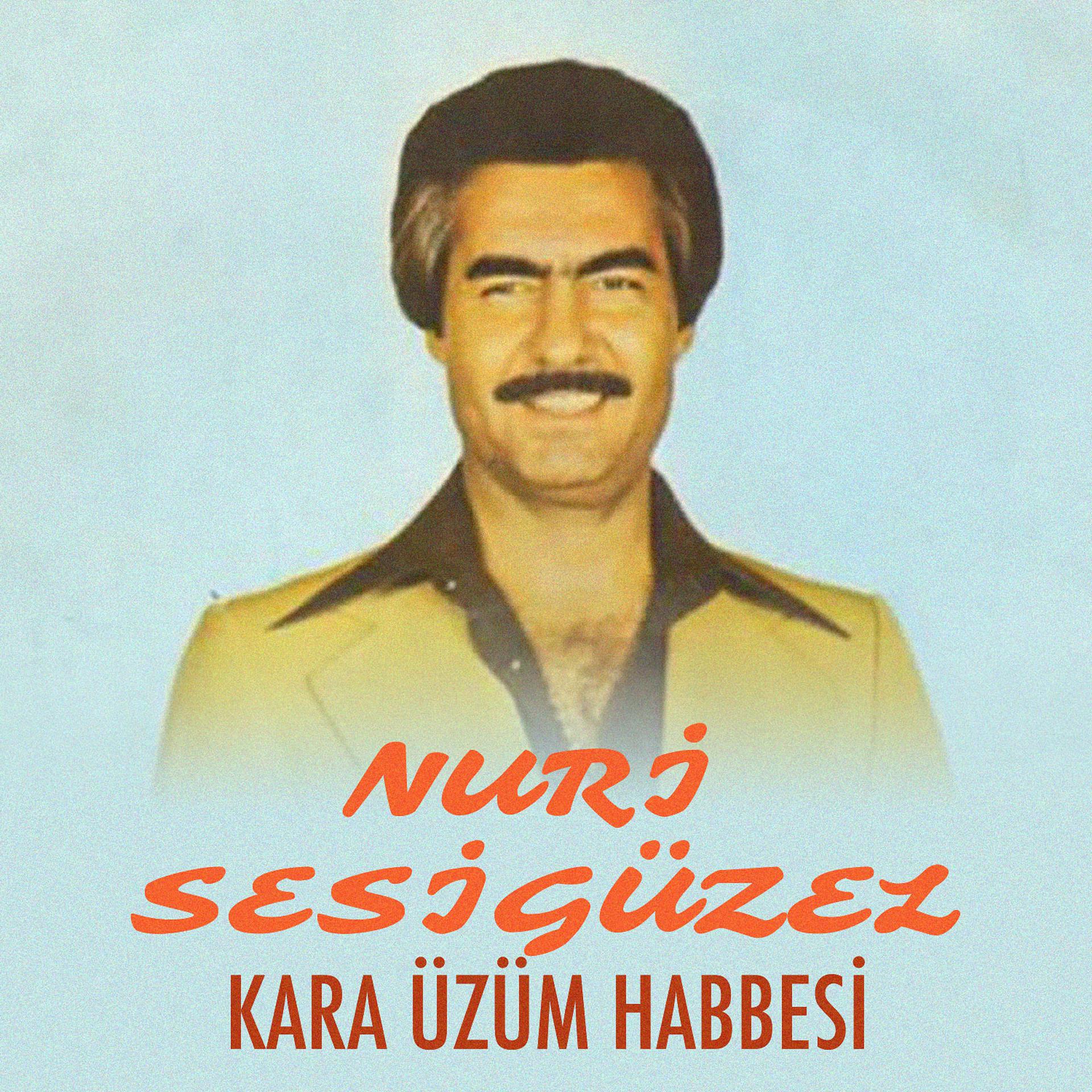 Постер альбома Kara Üzüm Habbesi