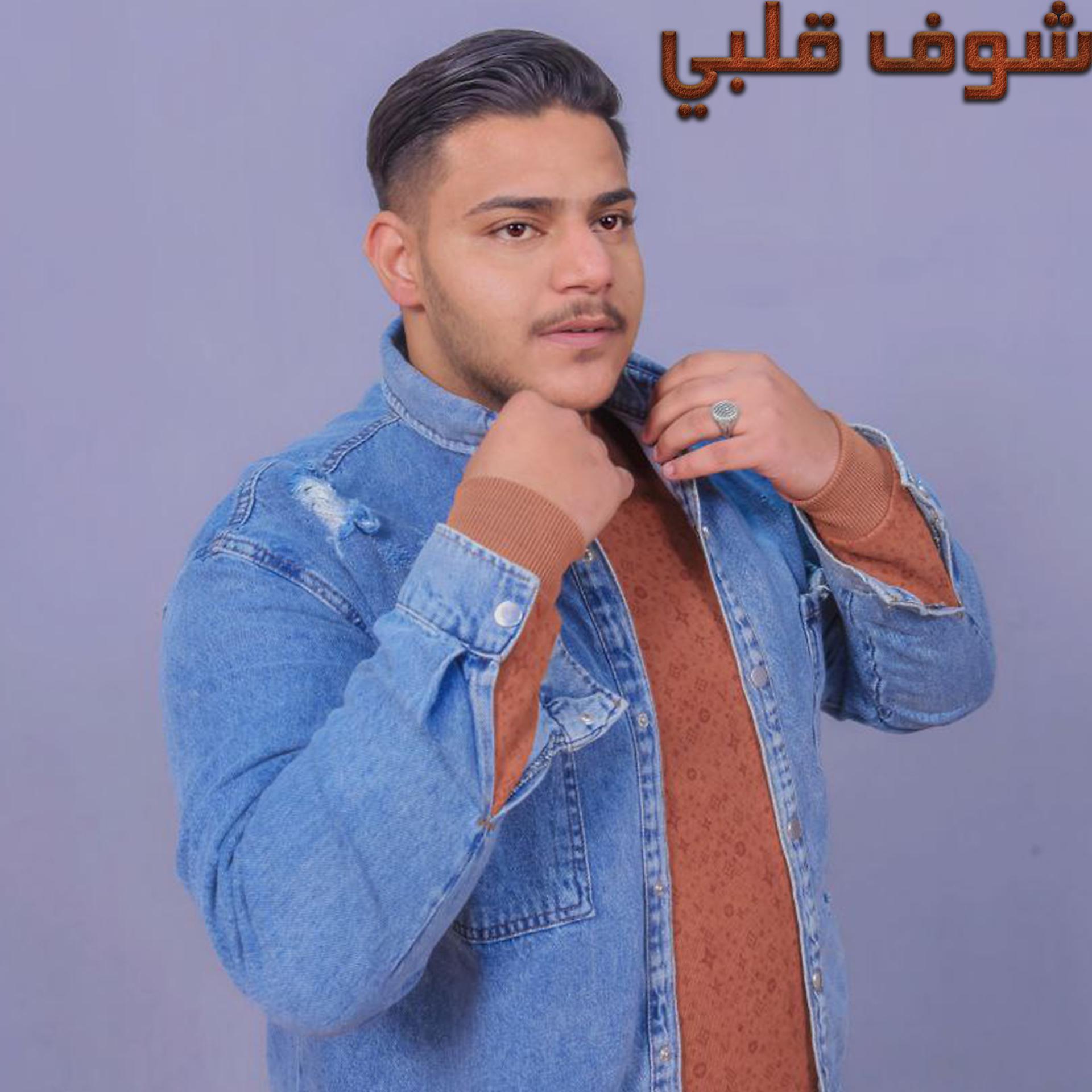 Постер альбома شوف قلبي