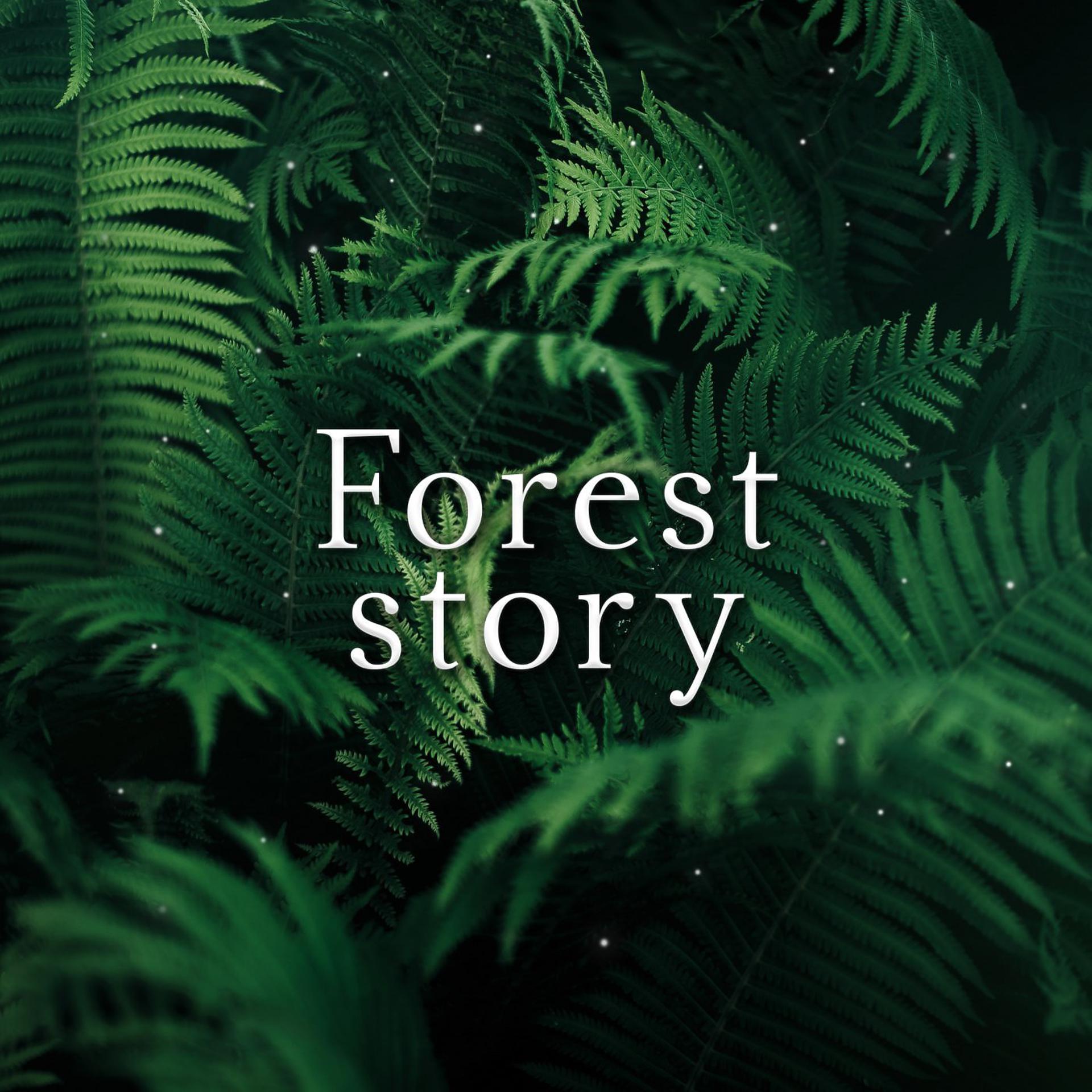 Постер альбома Forest Story