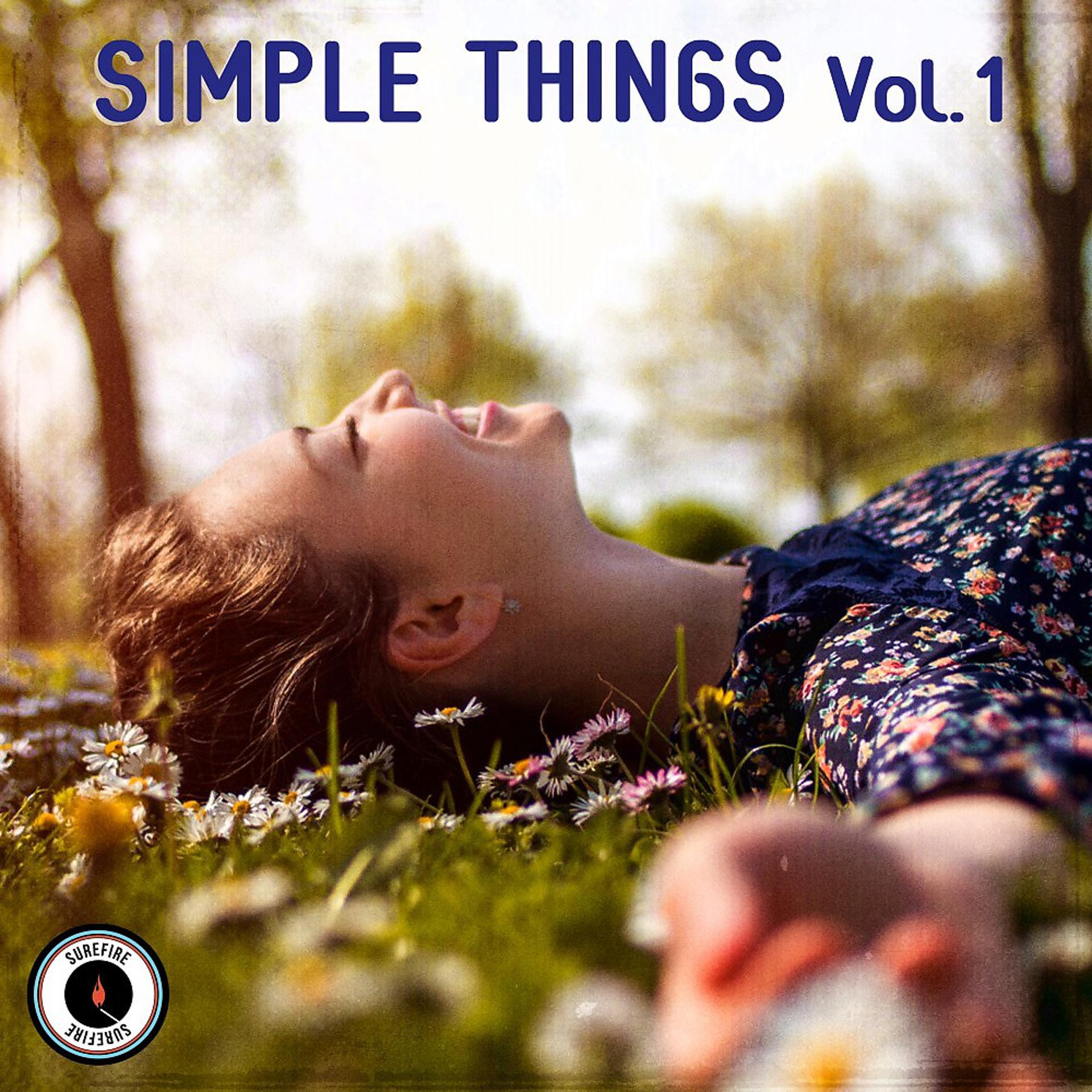 Постер альбома Simple Things, Vol. 1