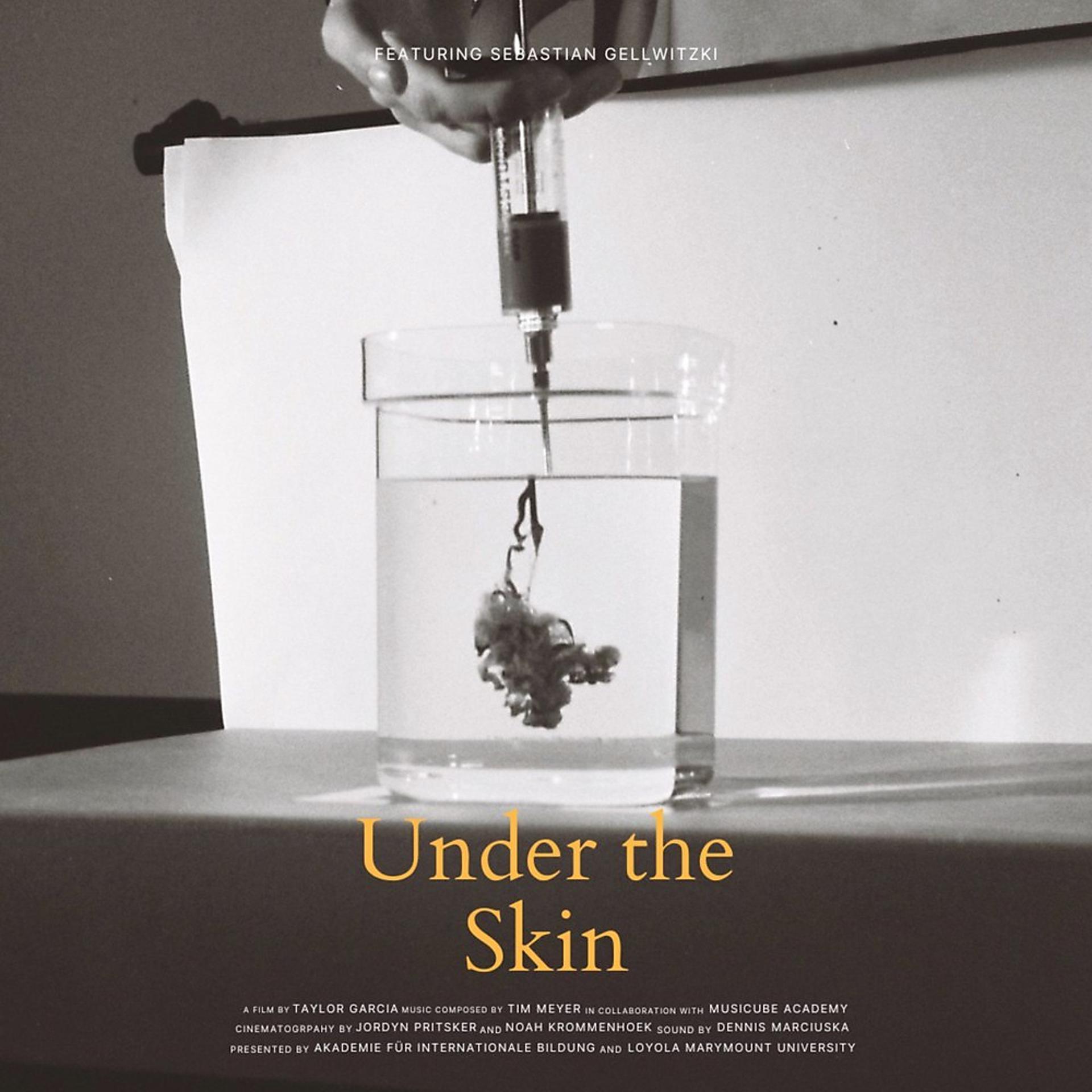 Постер альбома Under the Skin (Original Soundtrack)