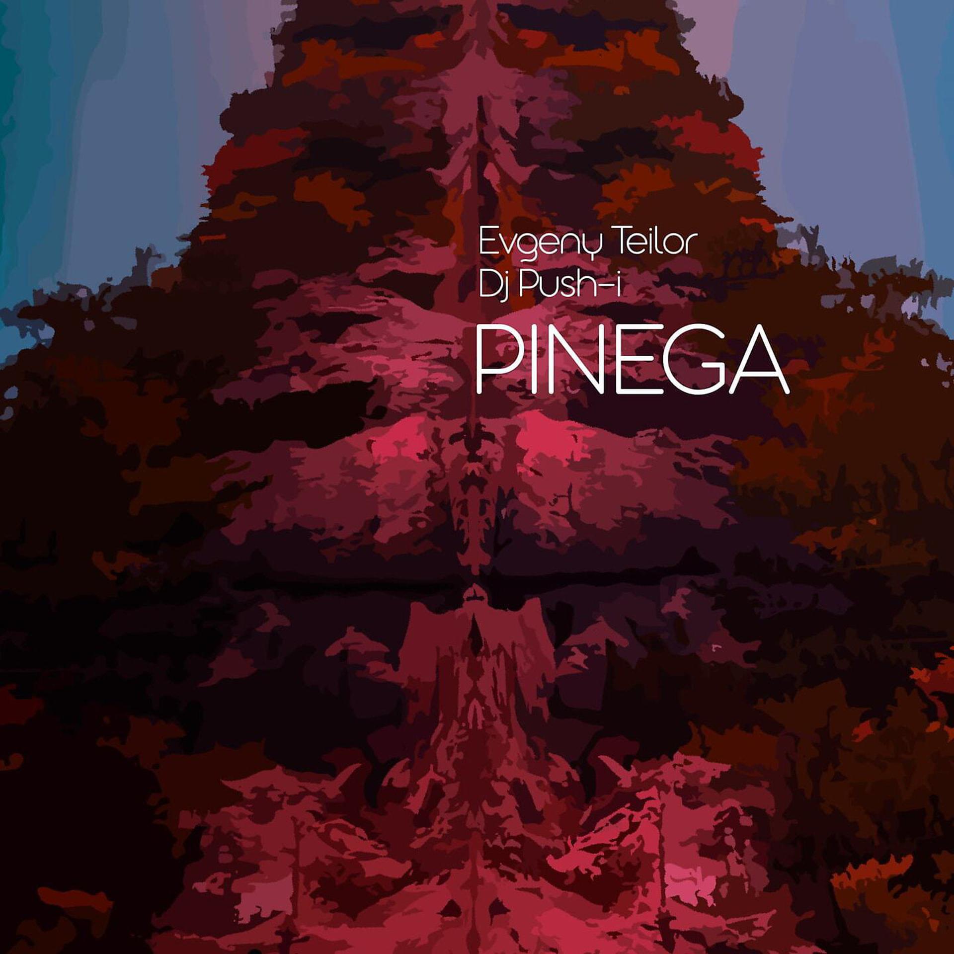 Постер альбома PINEGA